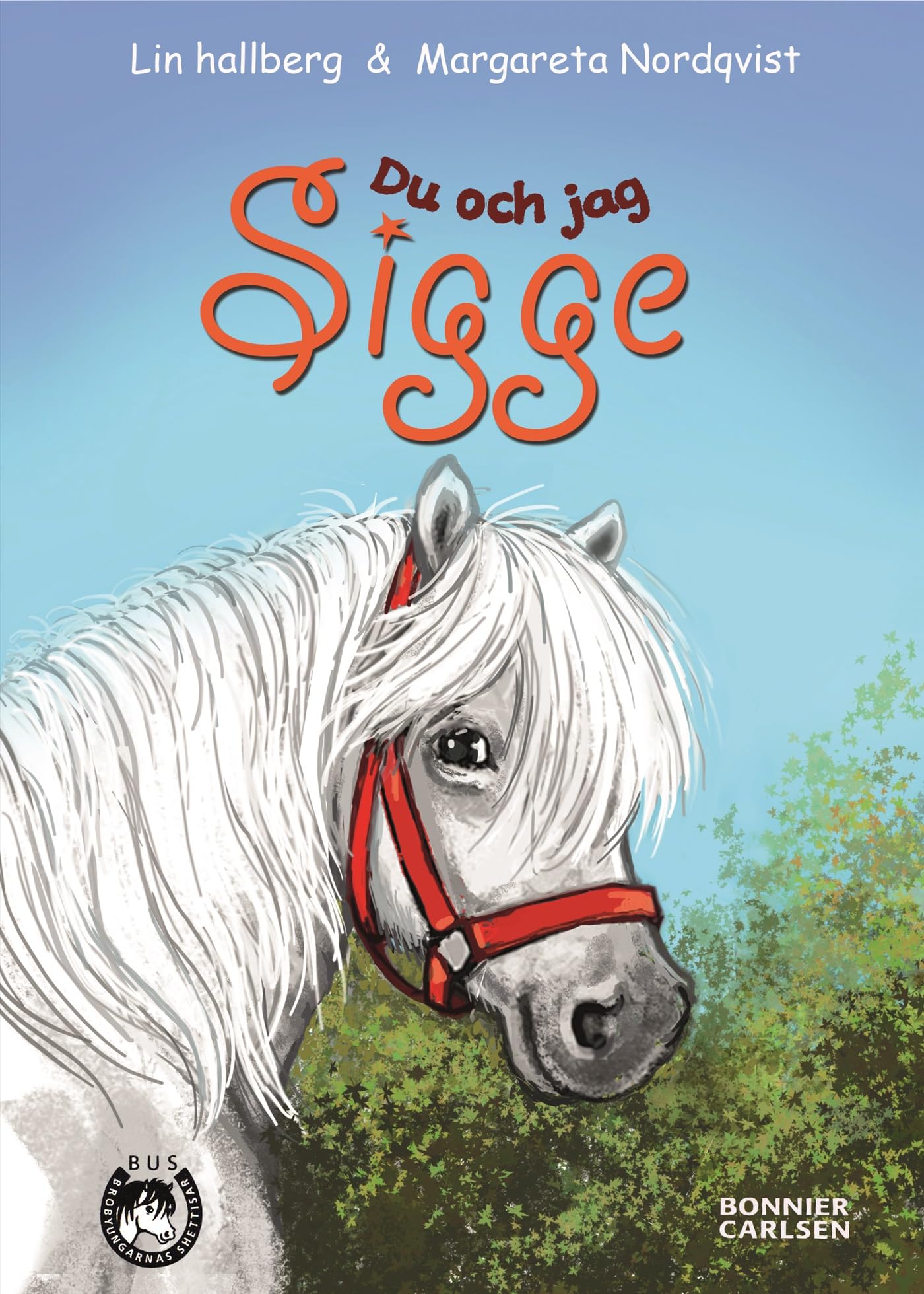 Du och jag, Sigge (BUS - Brobyungarnas shettisar, Band 13) Fiction