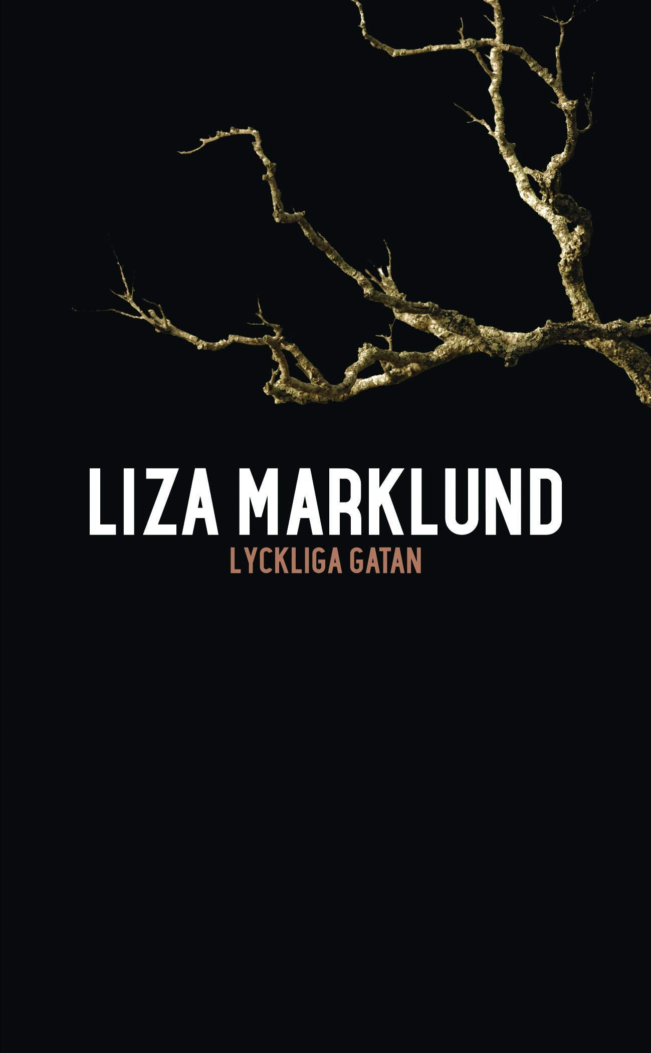Lyckliga gatan (Annika Bengtzon, Band 10) Contemporary literature