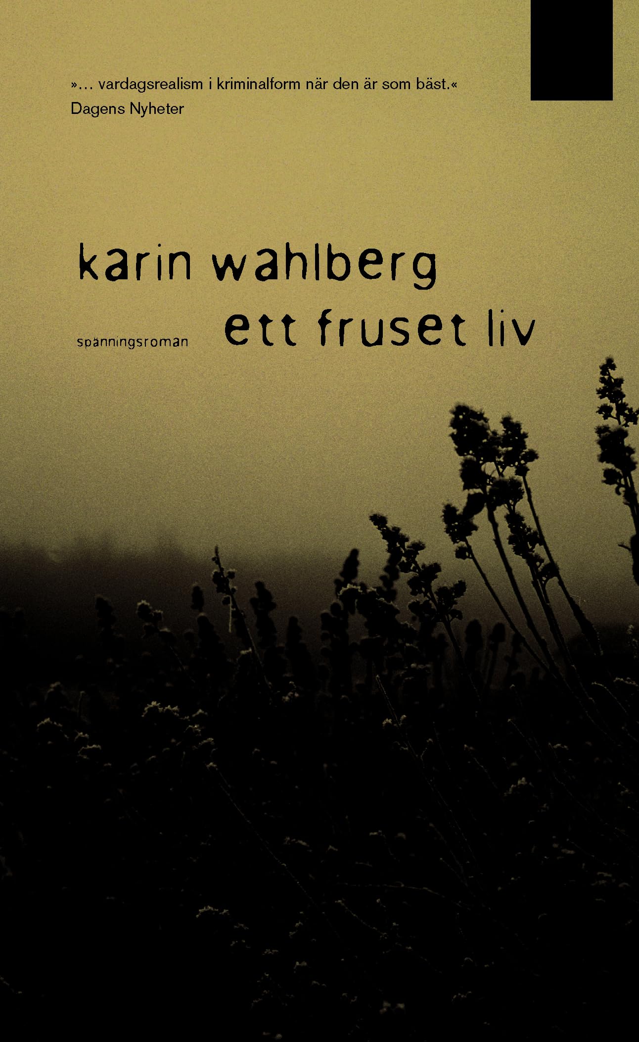 Ett fruset liv (Claes Claesson, Band 3) Books