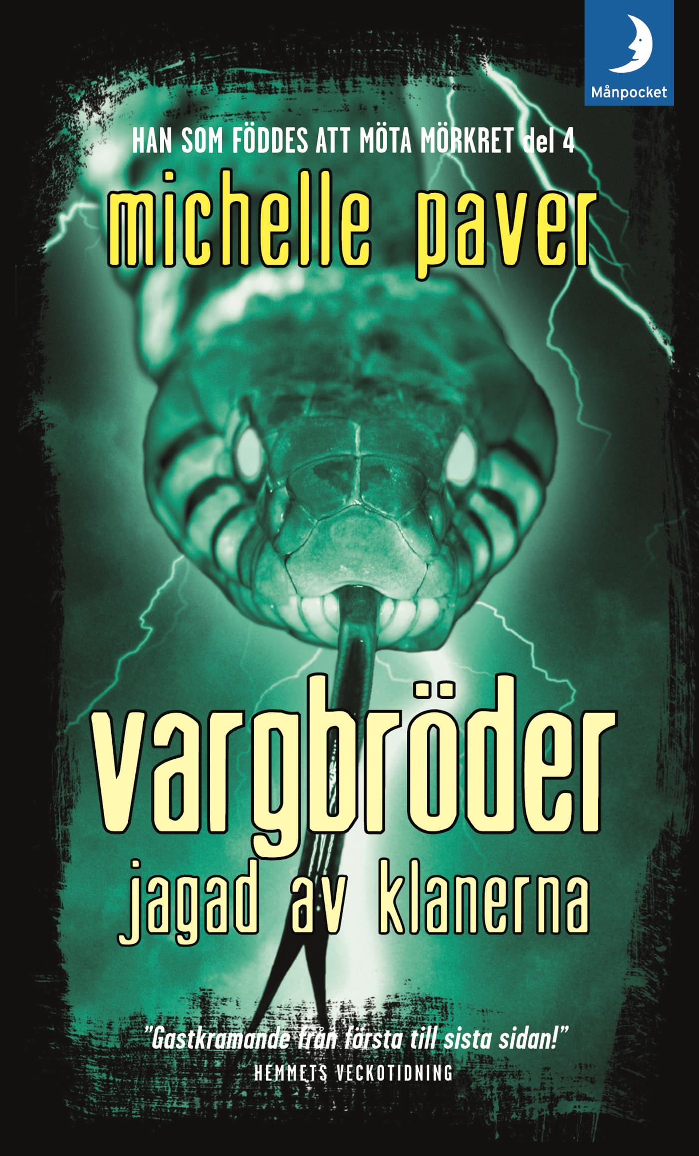 Vargbröder. Jagad av klanerna (Han som föddes att möta mörkret, Band 4) Books