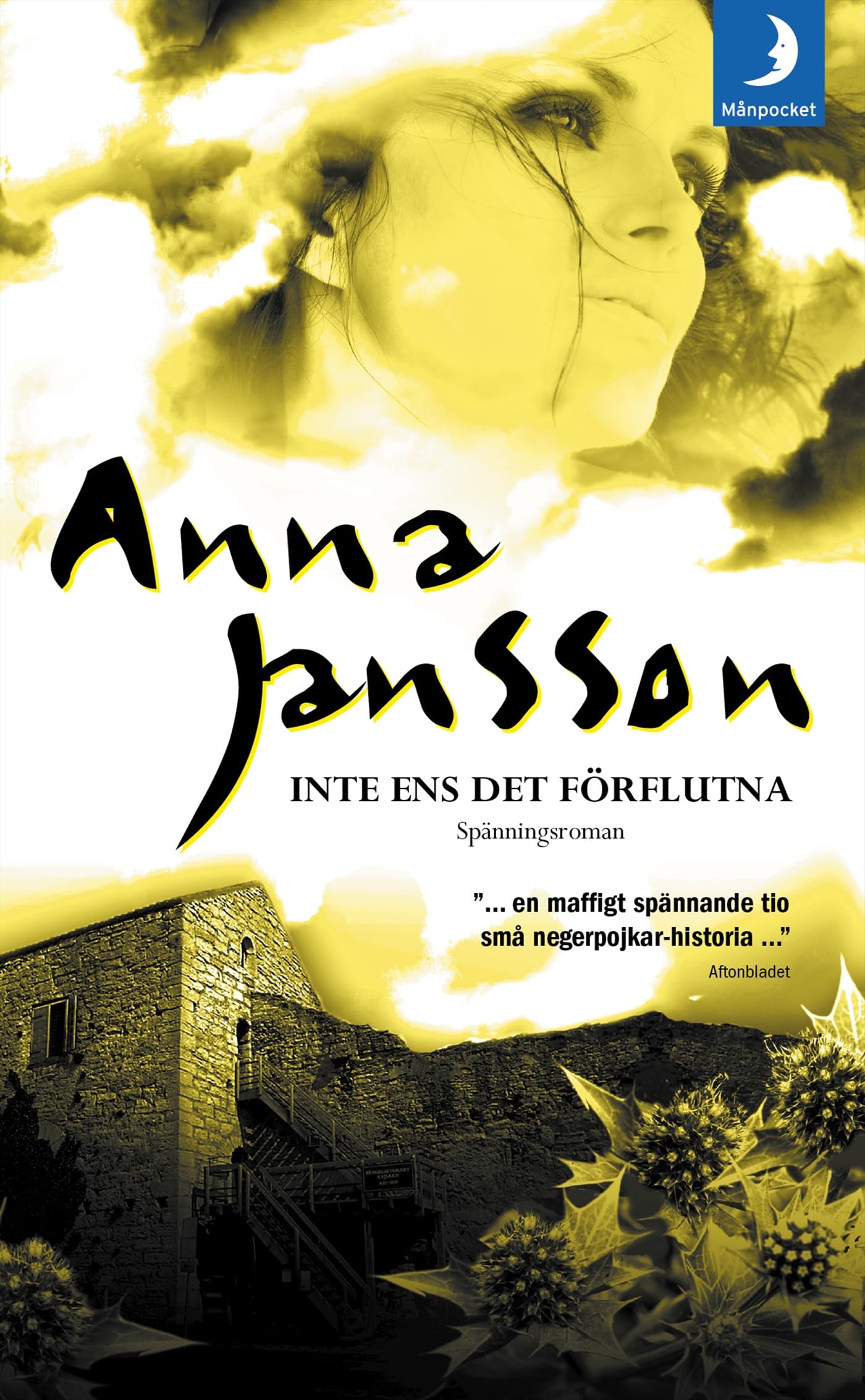 Inte ens det förflutna (Maria Wern, Band 9) Books