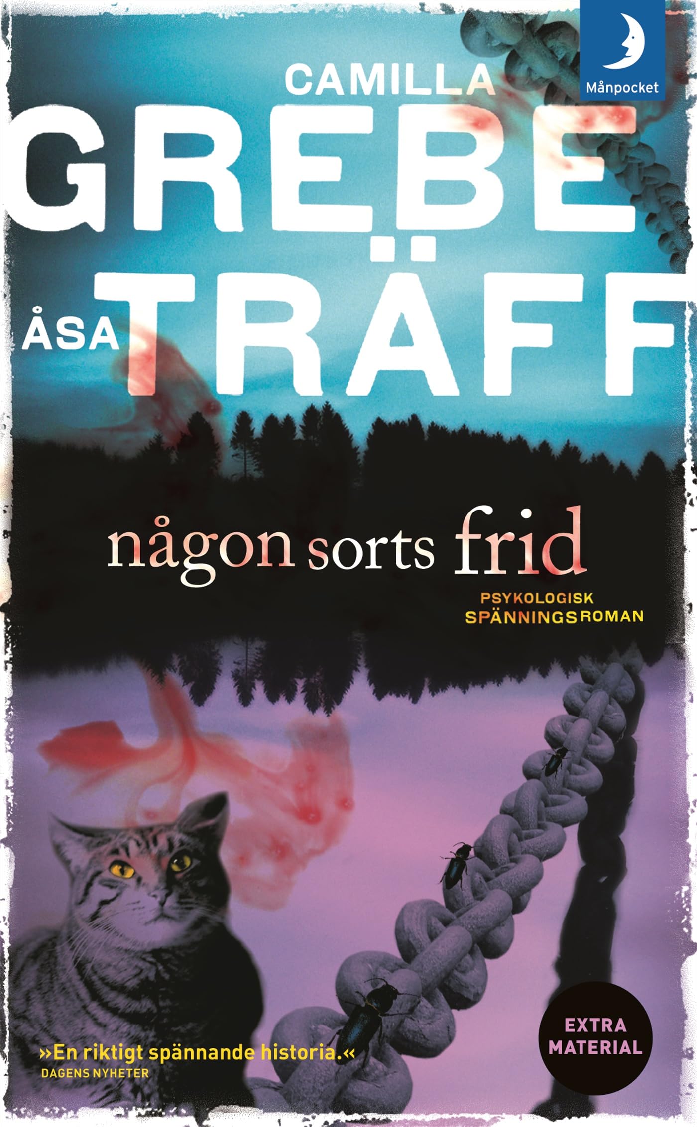 Någon sorts frid (Siri Bergman, Band 1) Books