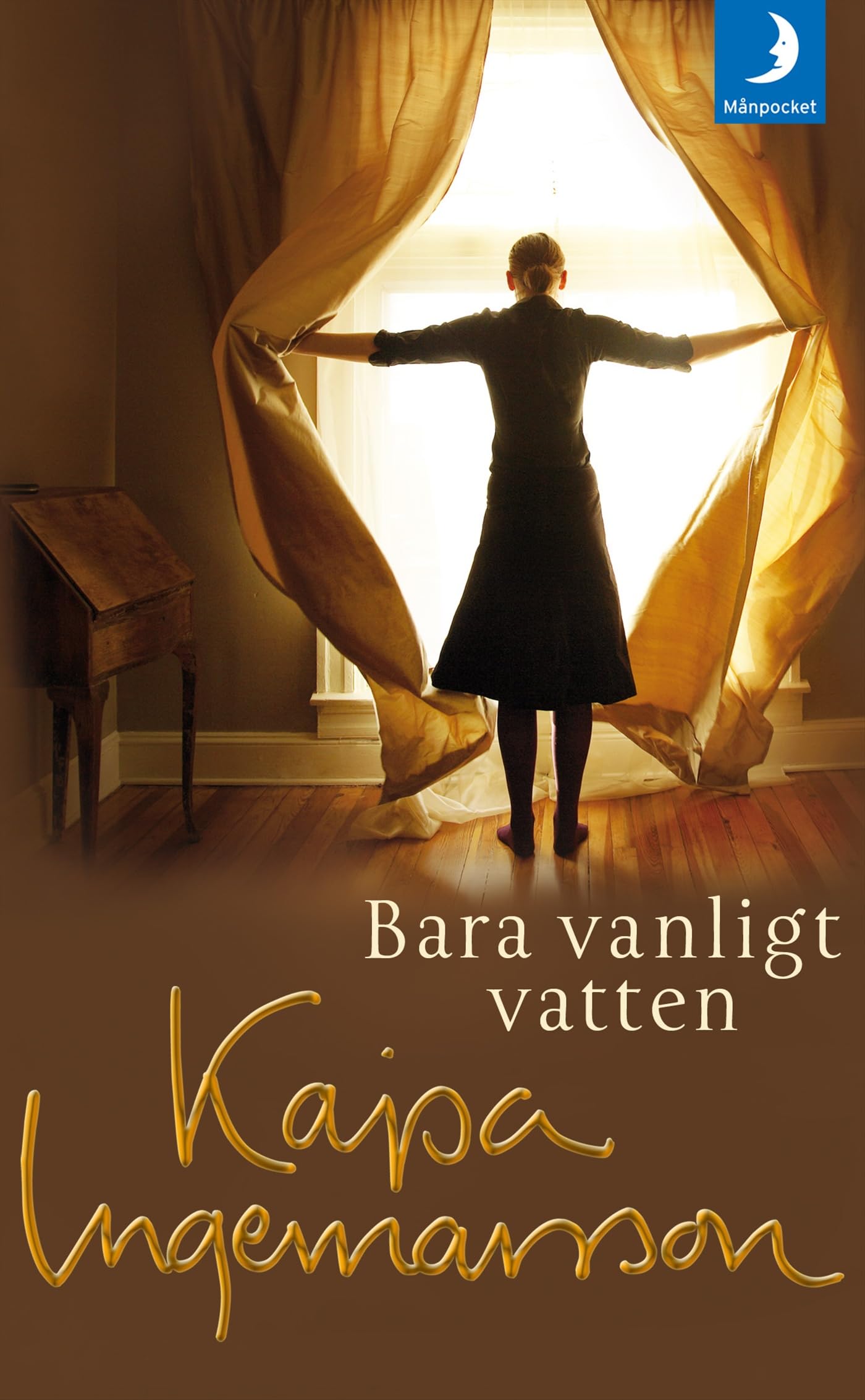 Bara vanligt vatten (av Kajsa Ingemarsson) (Swedish) book