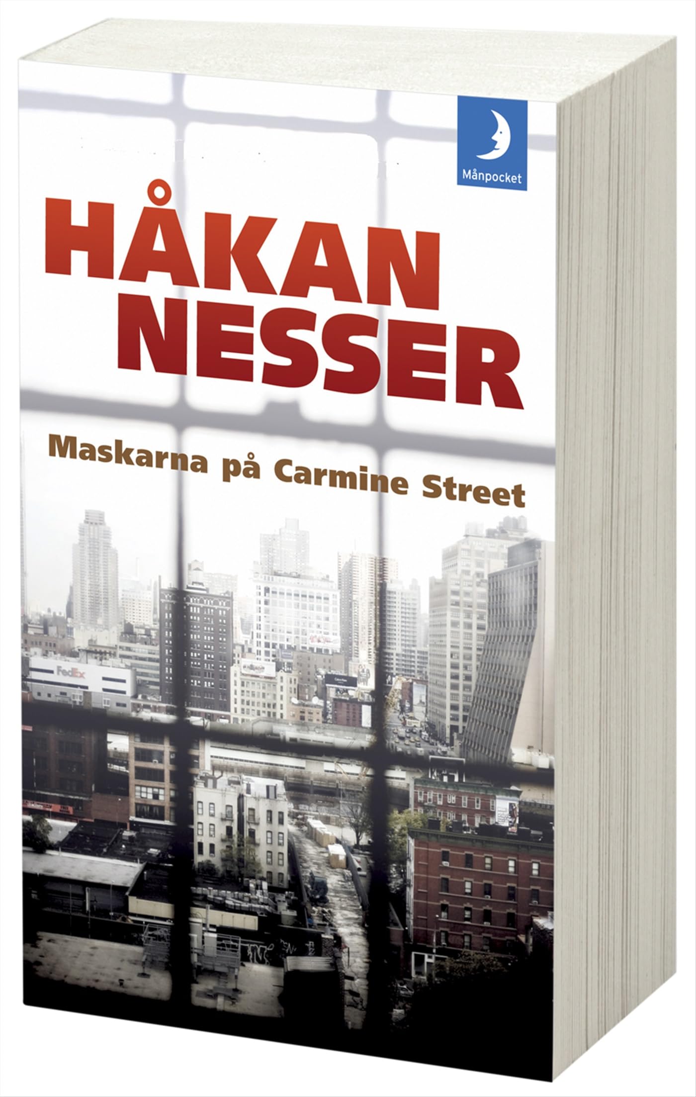 Maskarna på Carmine Street Contemporary literature
