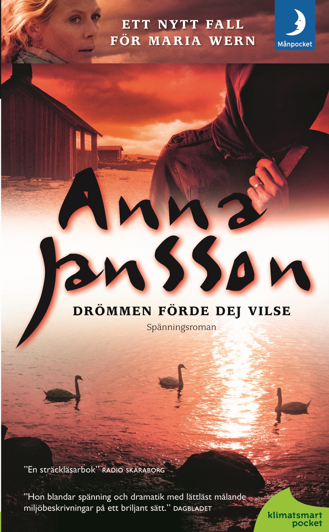 Drömmen förde dej vilse (Maria Wern, Band 11) Contemporary literature