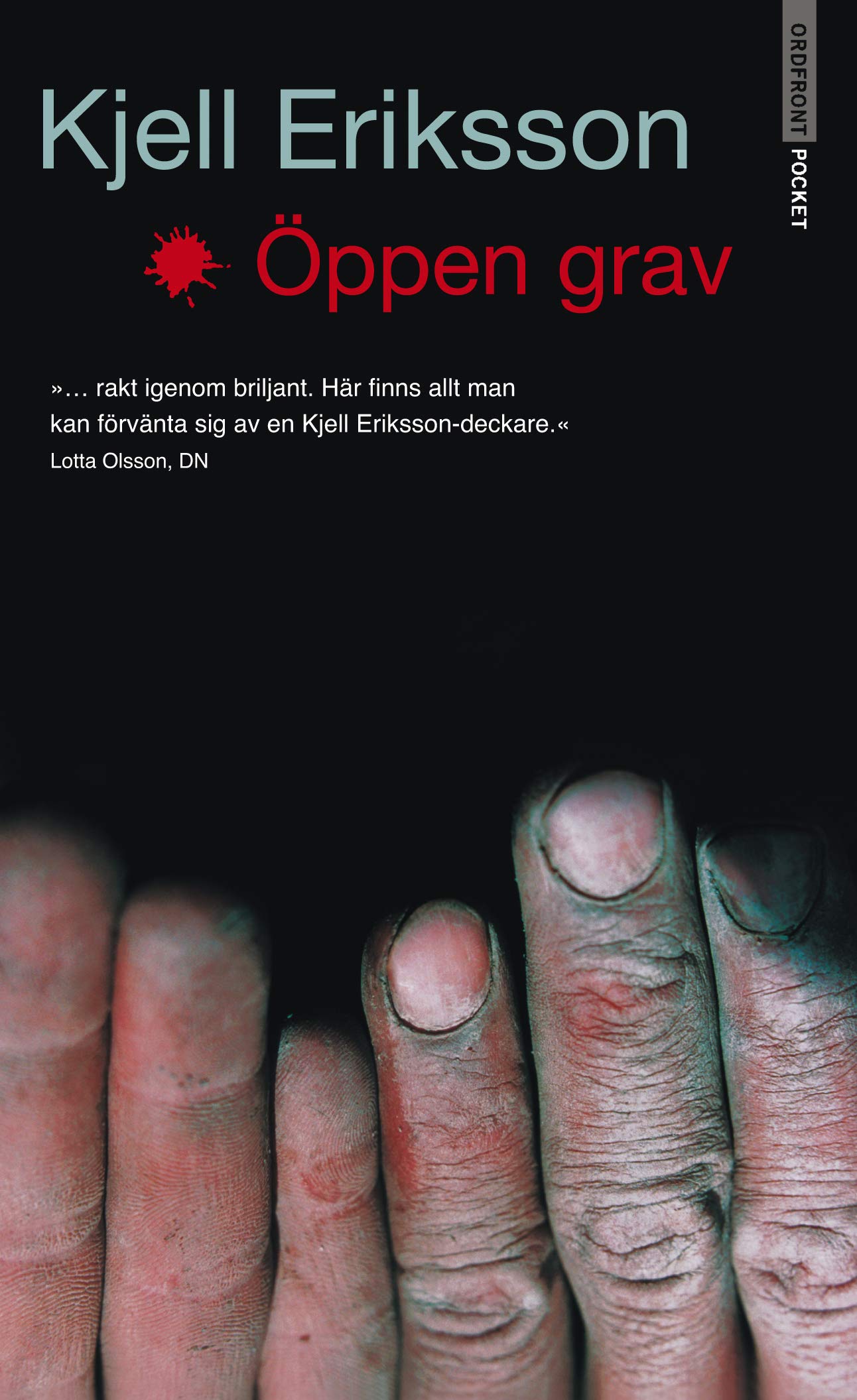 Öppen grav (Ann Lindell, Band 10) Contemporary literature