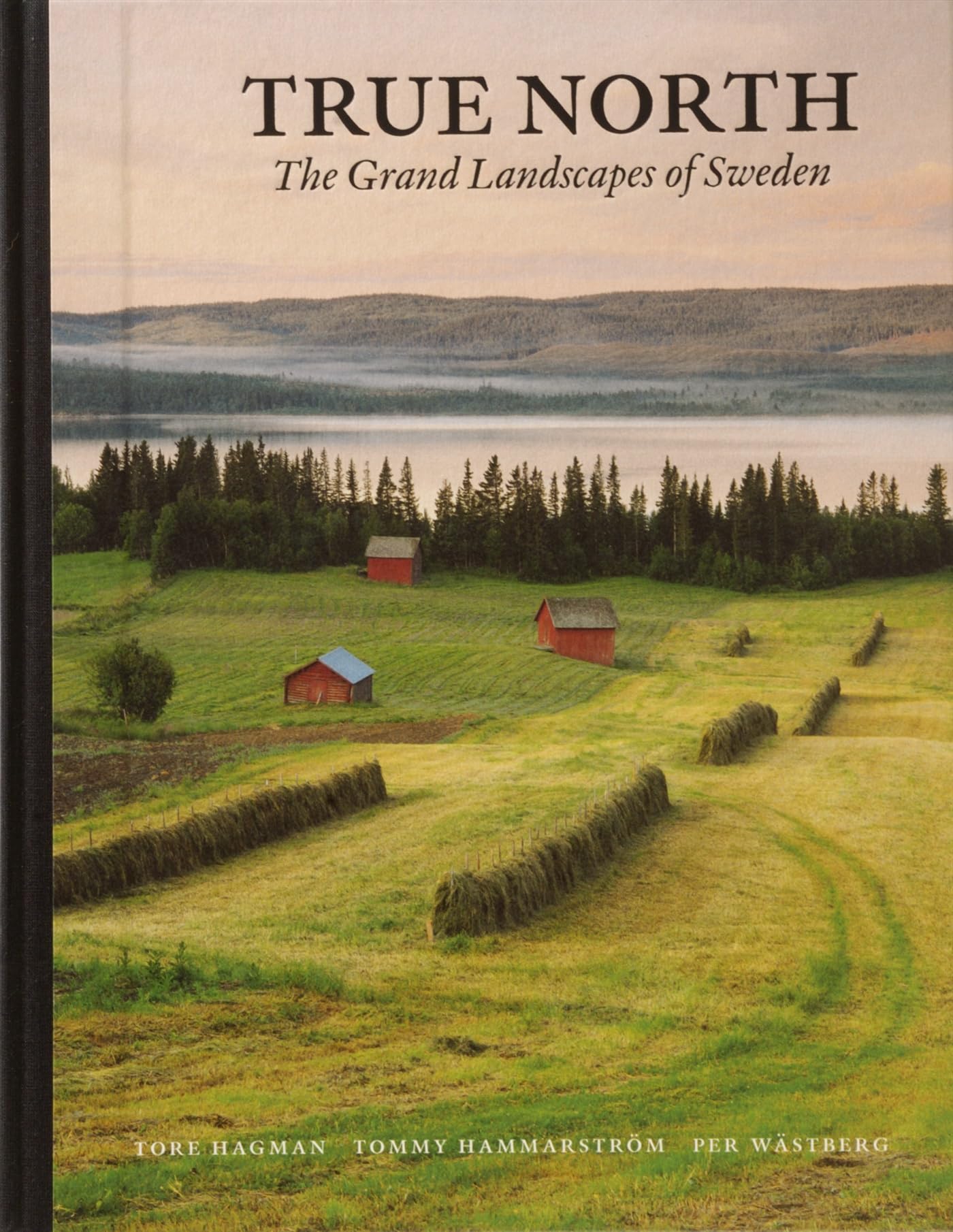 True North Social Sciences