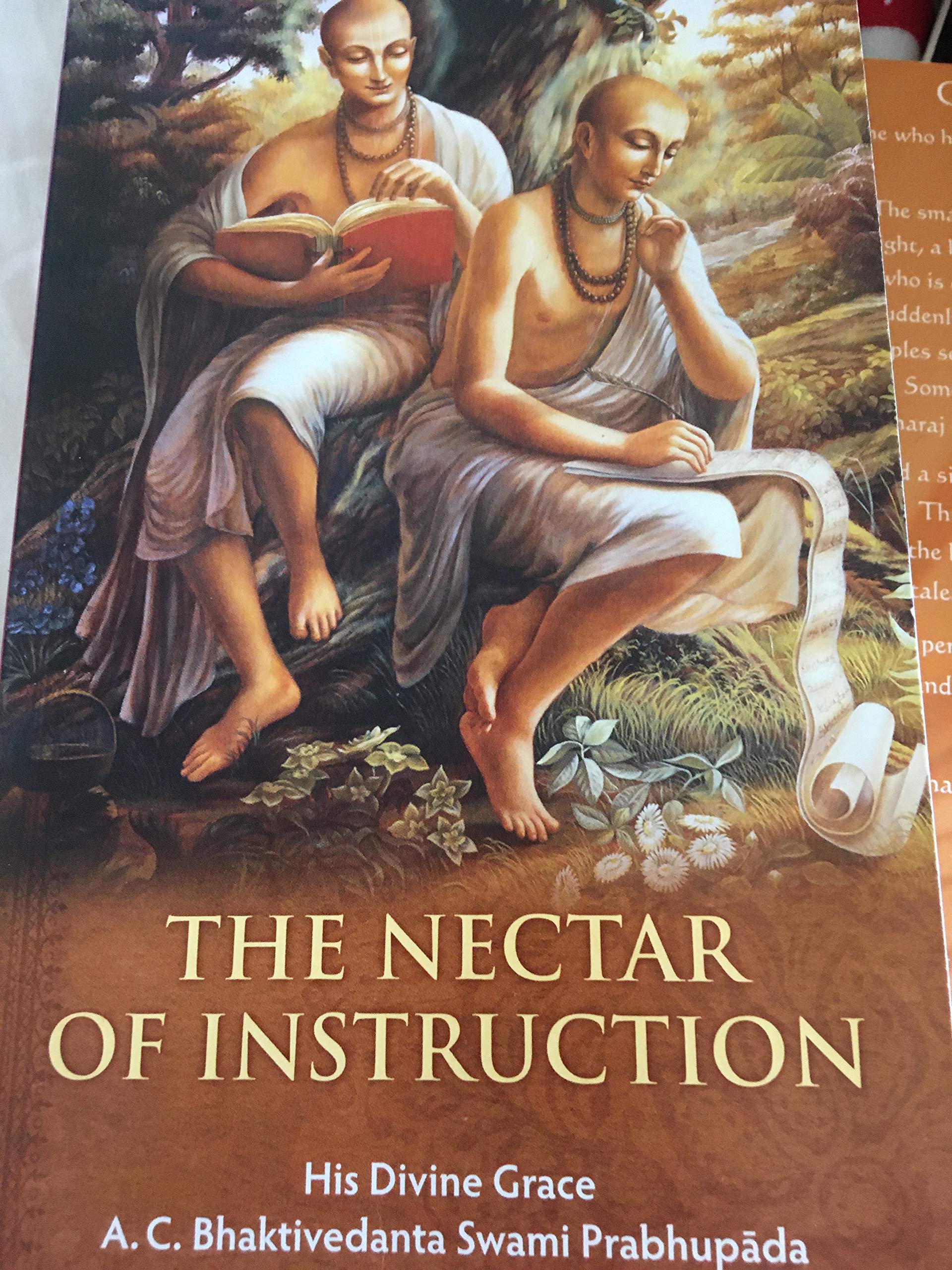 THE NECTAR OF INSTRUCTION book