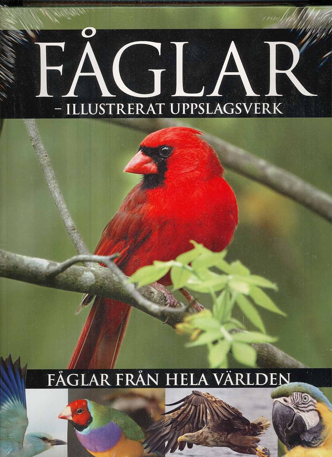 Fåglar - illustrerat uppslagsverk Reference Books