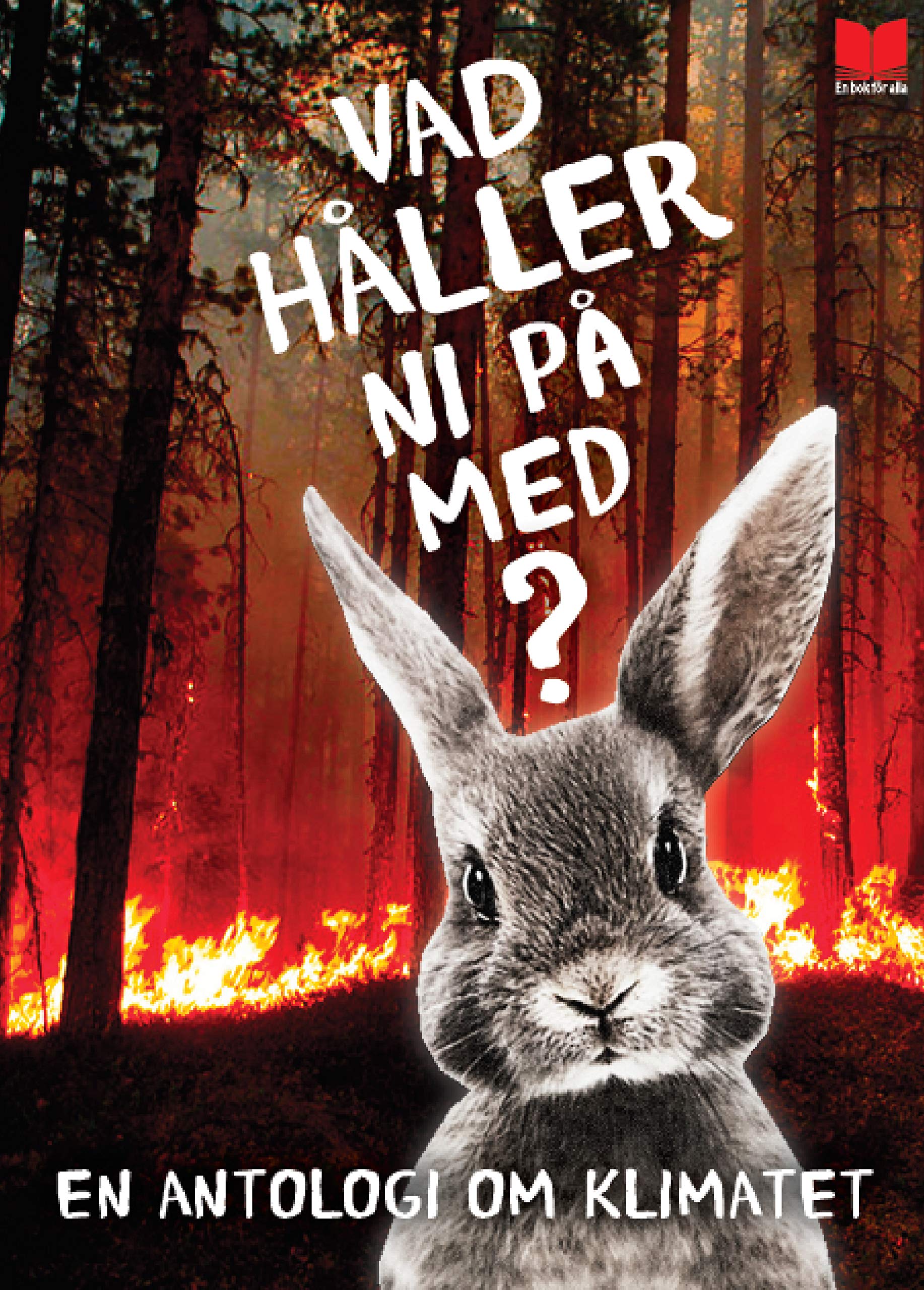 Vad håller ni på med? En antologi om klimatet Books