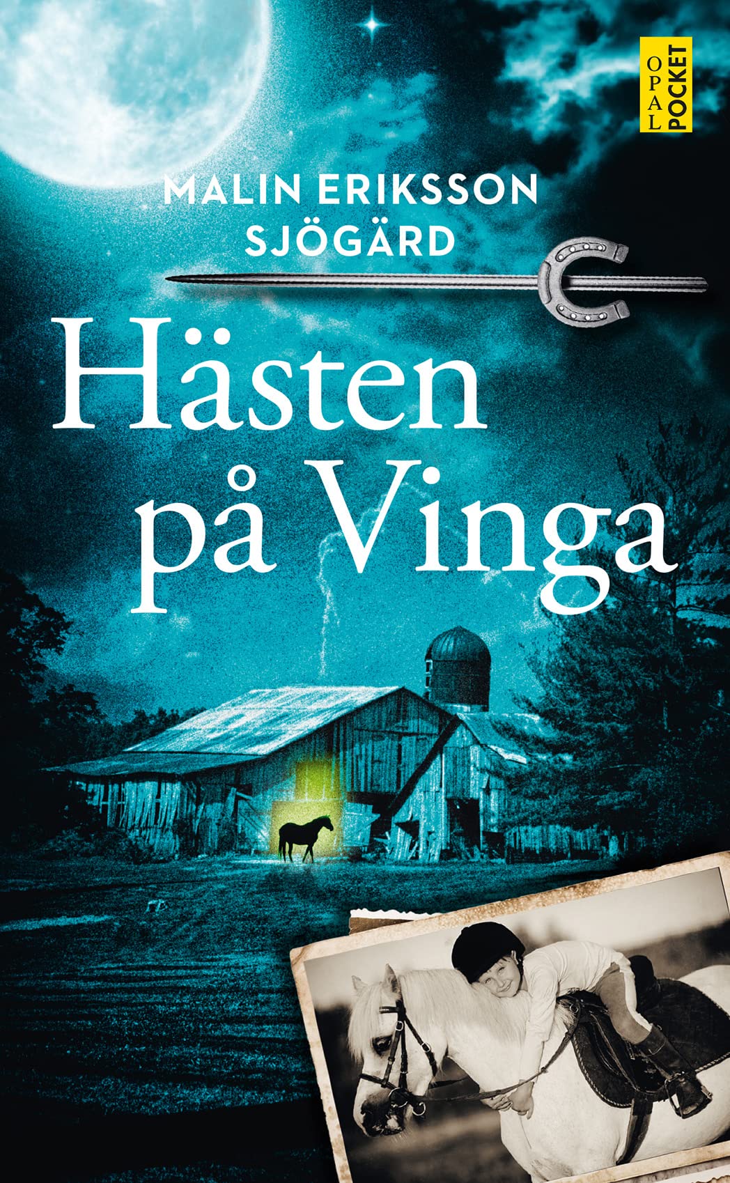 Hästen på Vinga book