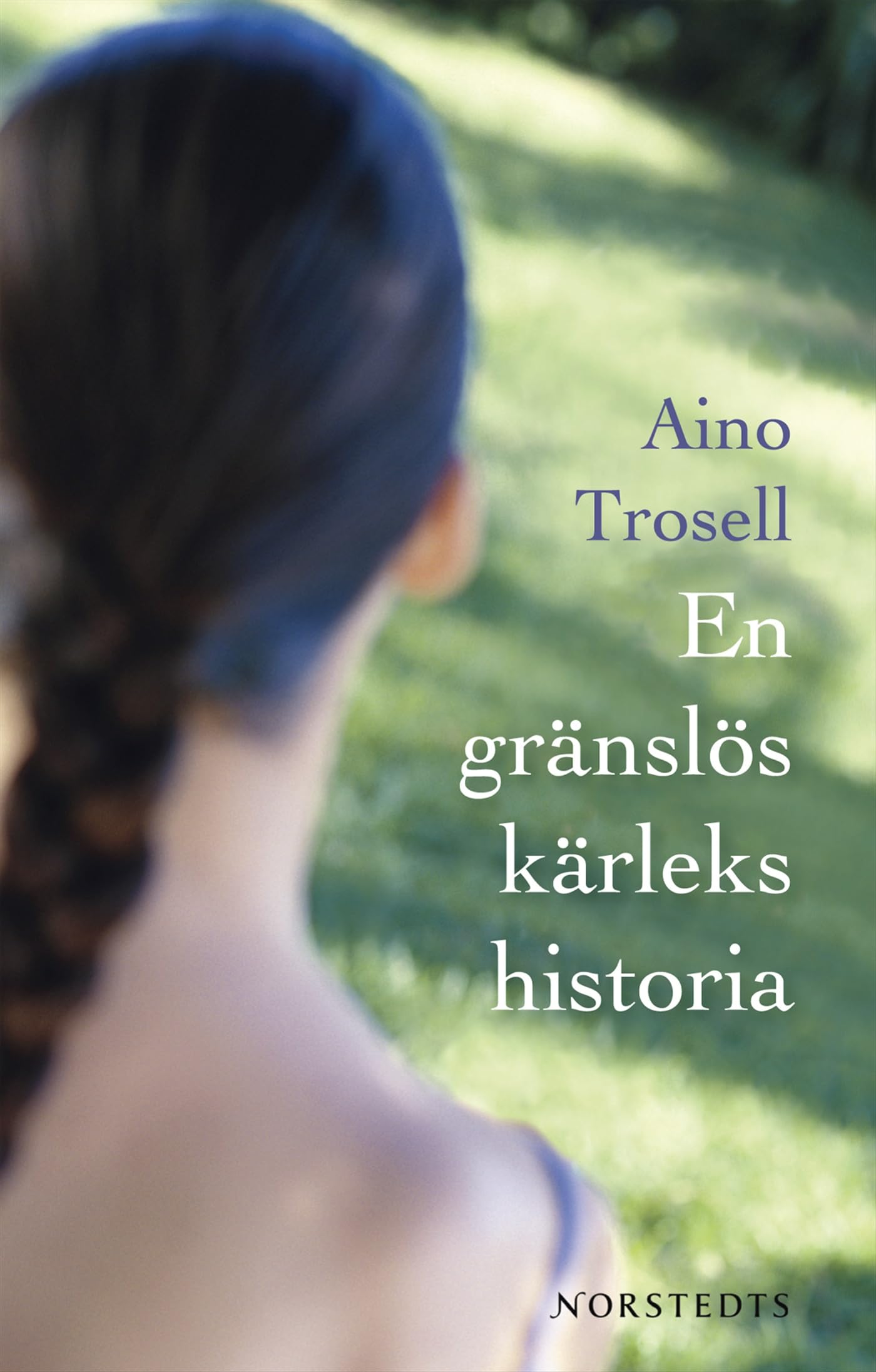 En gränslös kärlekshistoria Contemporary literature
