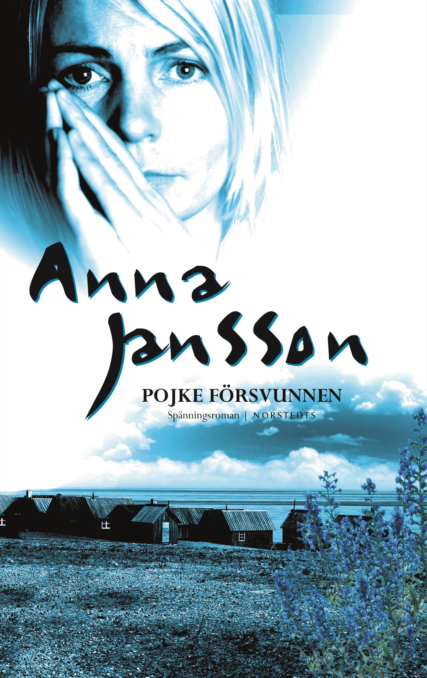 Pojke försvunnen (Maria Wern, Band 8) Contemporary literature