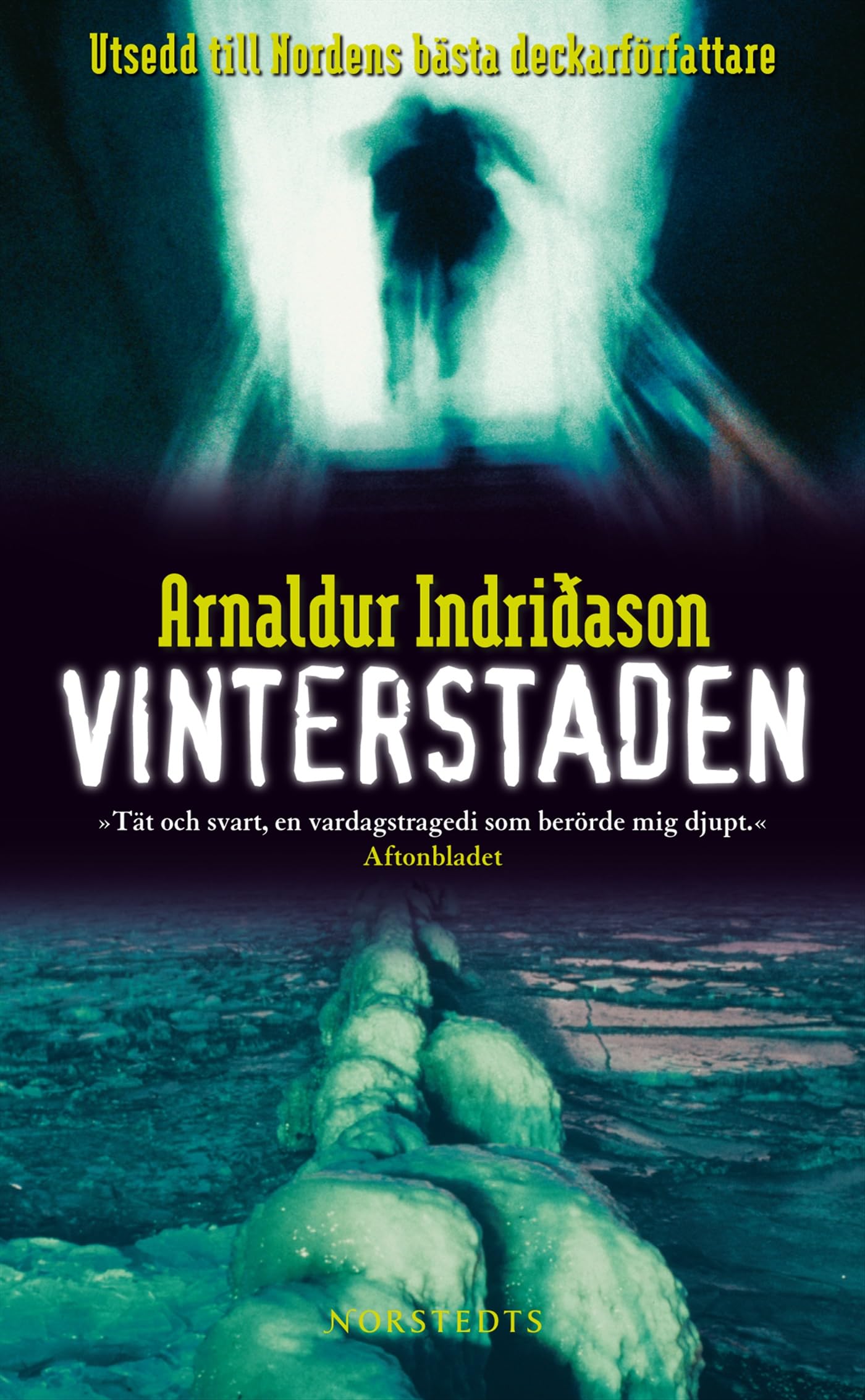 Vinterstaden (Erlendur Sveinsson, Band 5) Contemporary literature