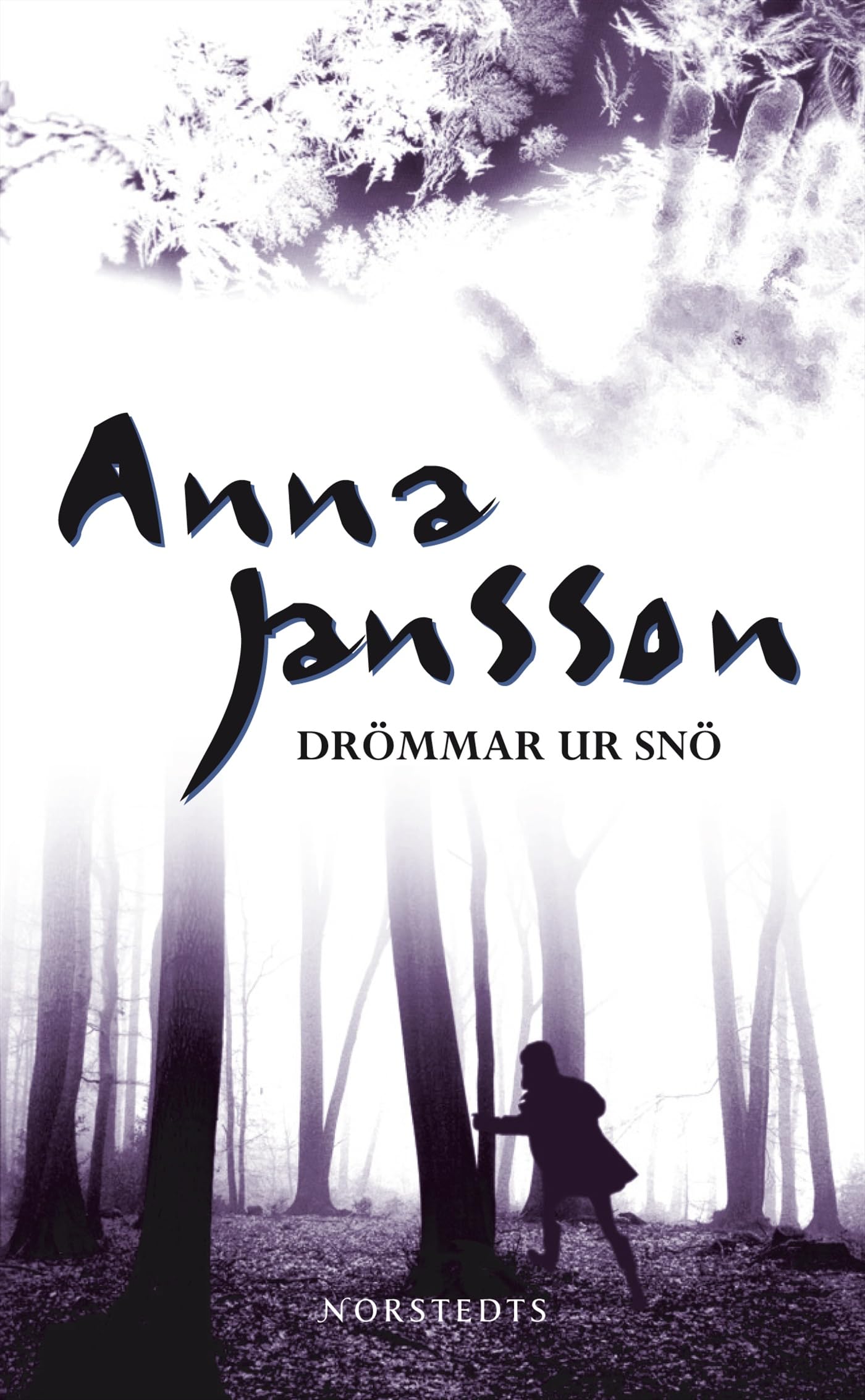 Drömmar ur snö (Maria Wern, Band 5) Contemporary literature