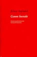 Genom huvudet : problemlösningens socialpsykologi Psychology