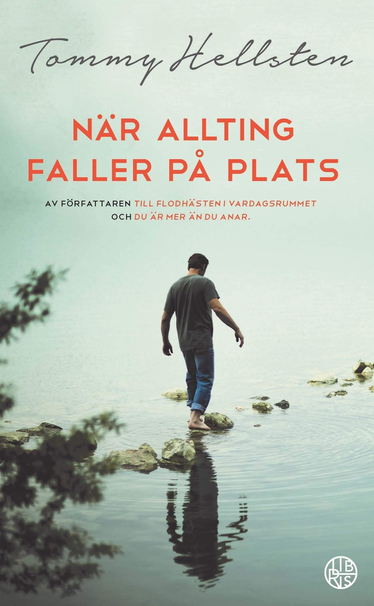 När allting faller på plats : en bok om att finna mening Books