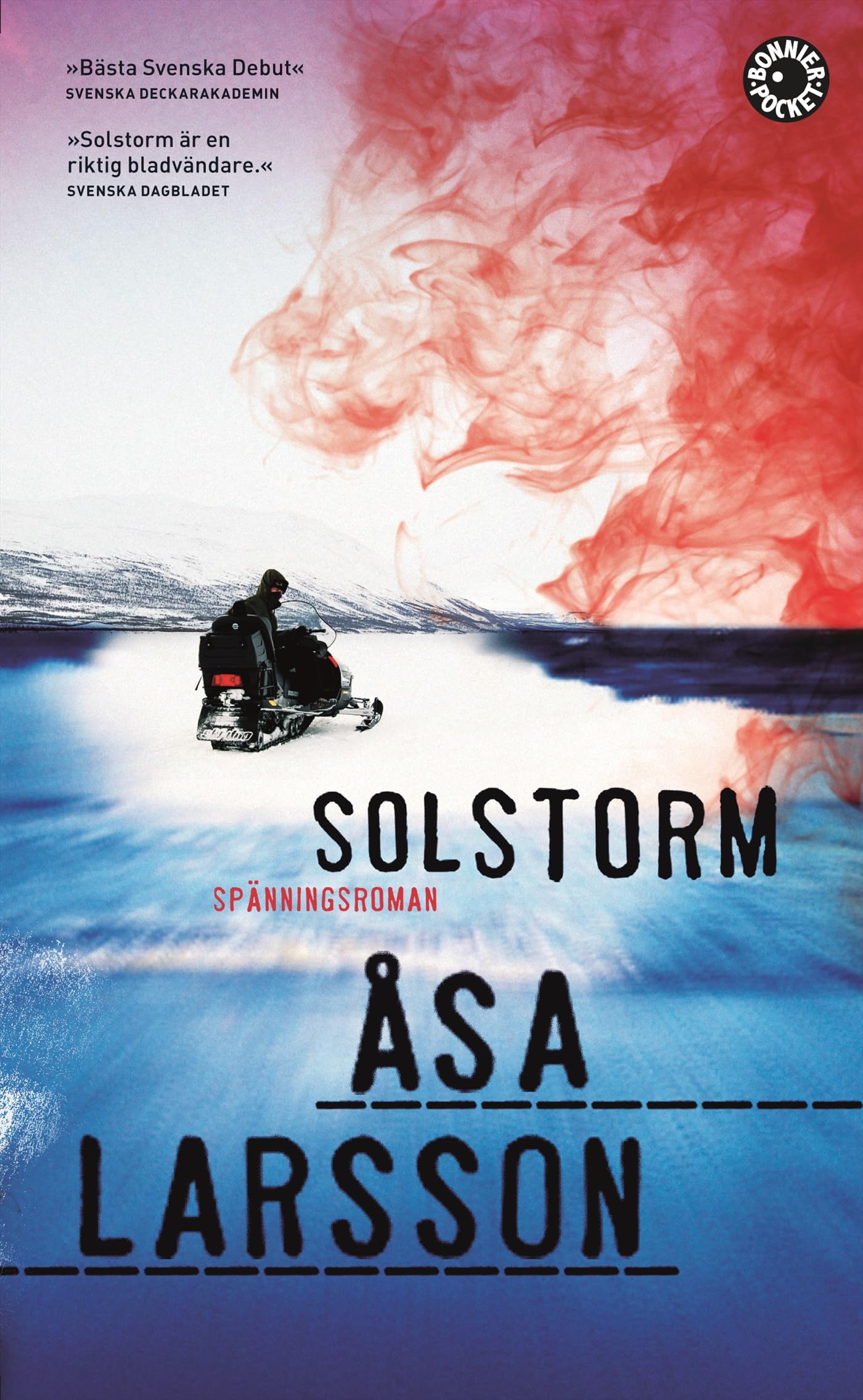 Solstorm (Rebecka Martinsson, Band 1) Contemporary literature
