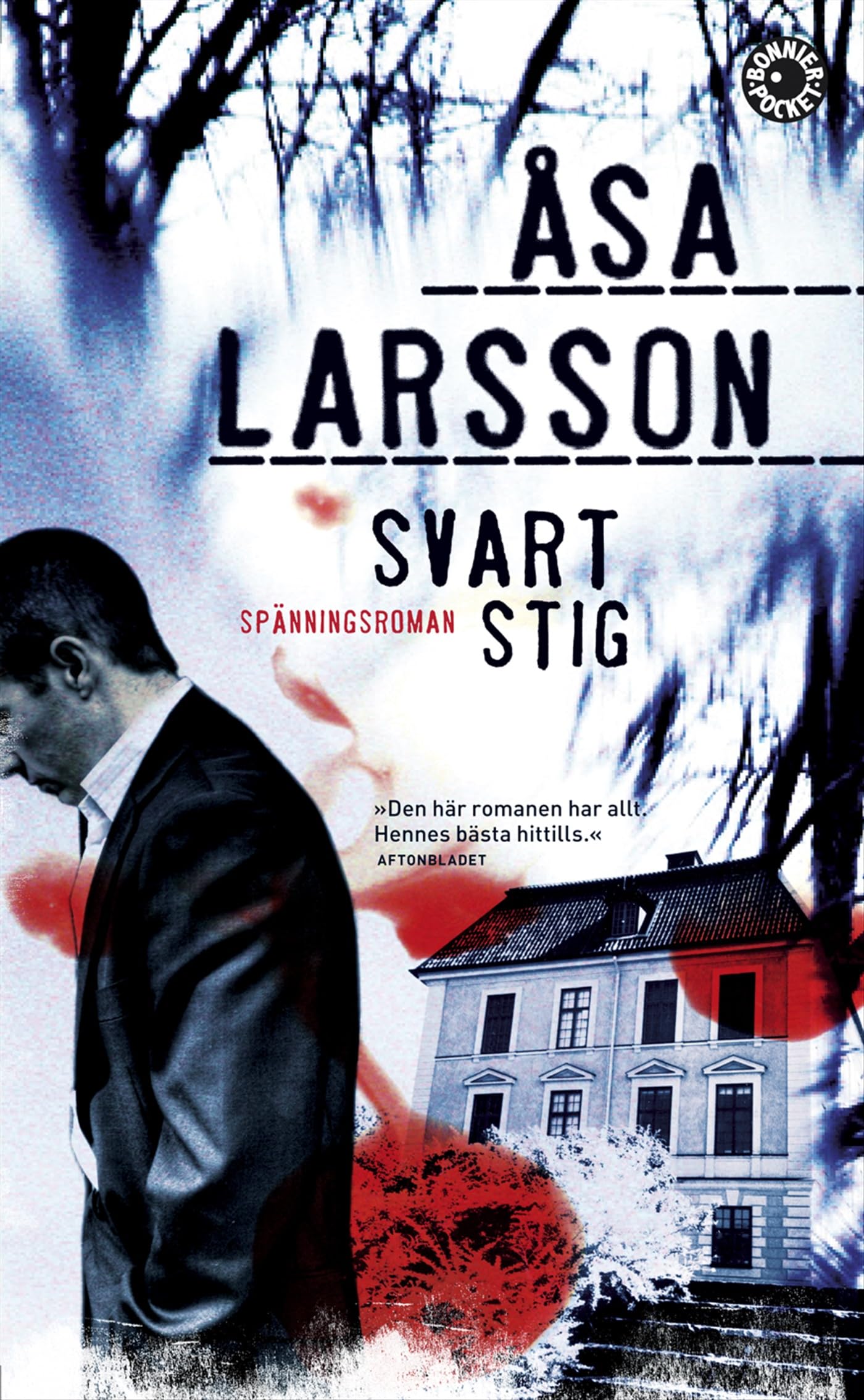 Svart stig (Rebecka Martinsson, Band 3) Contemporary literature