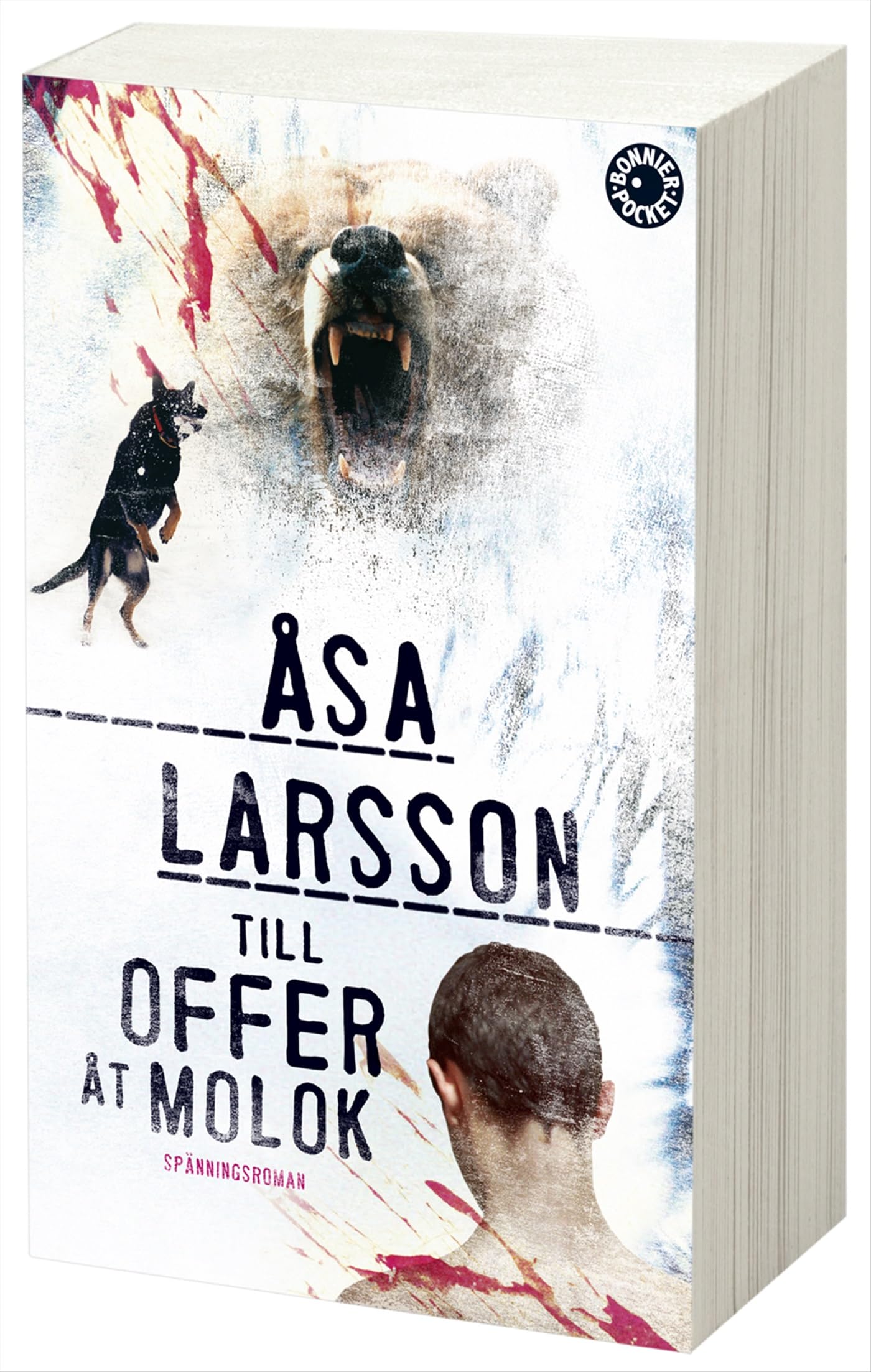 Till offer åt Molok (Rebecka Martinsson, Band 5) Contemporary literature