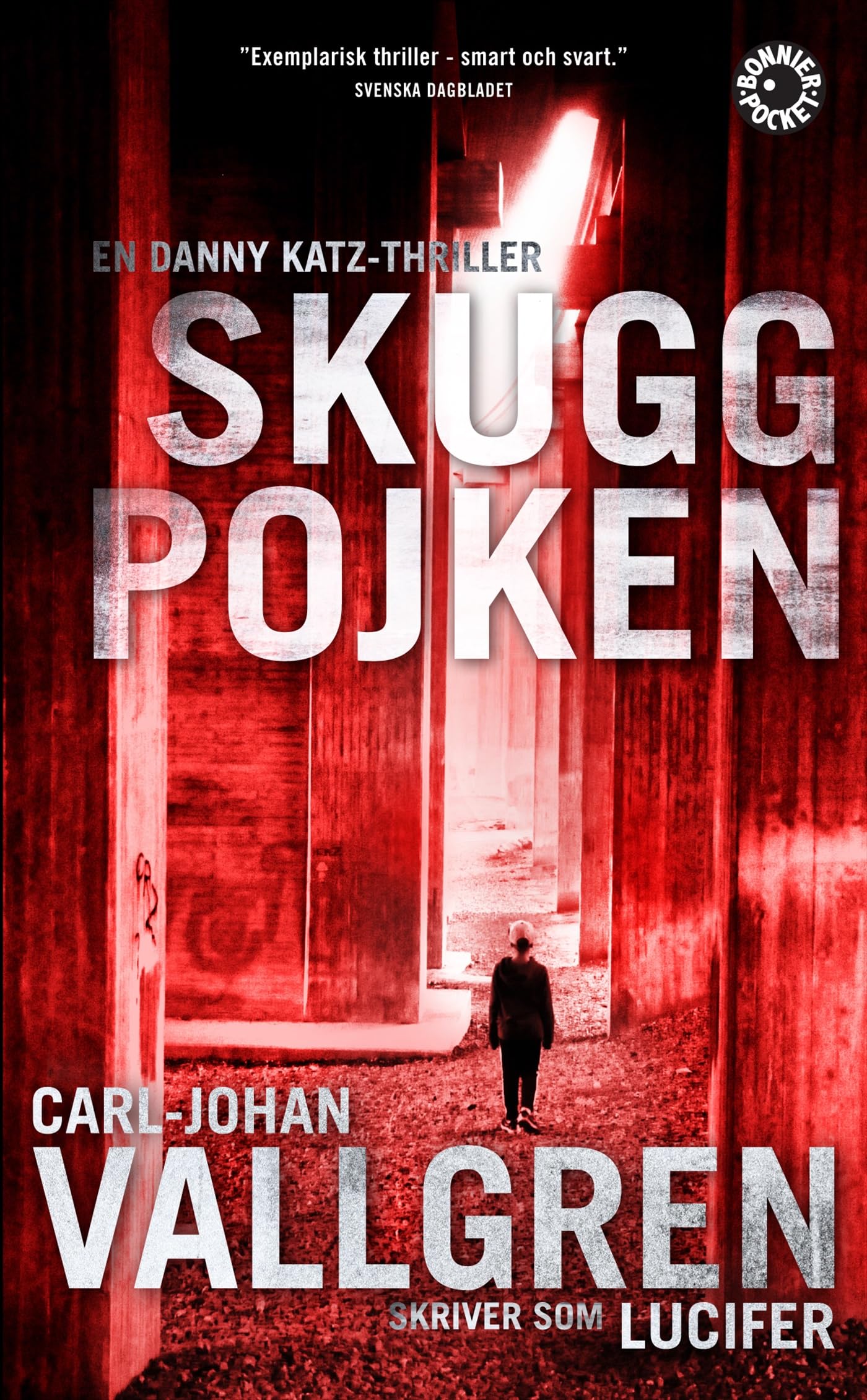 Skuggpojken (Danny Katz, Band 1) Contemporary literature