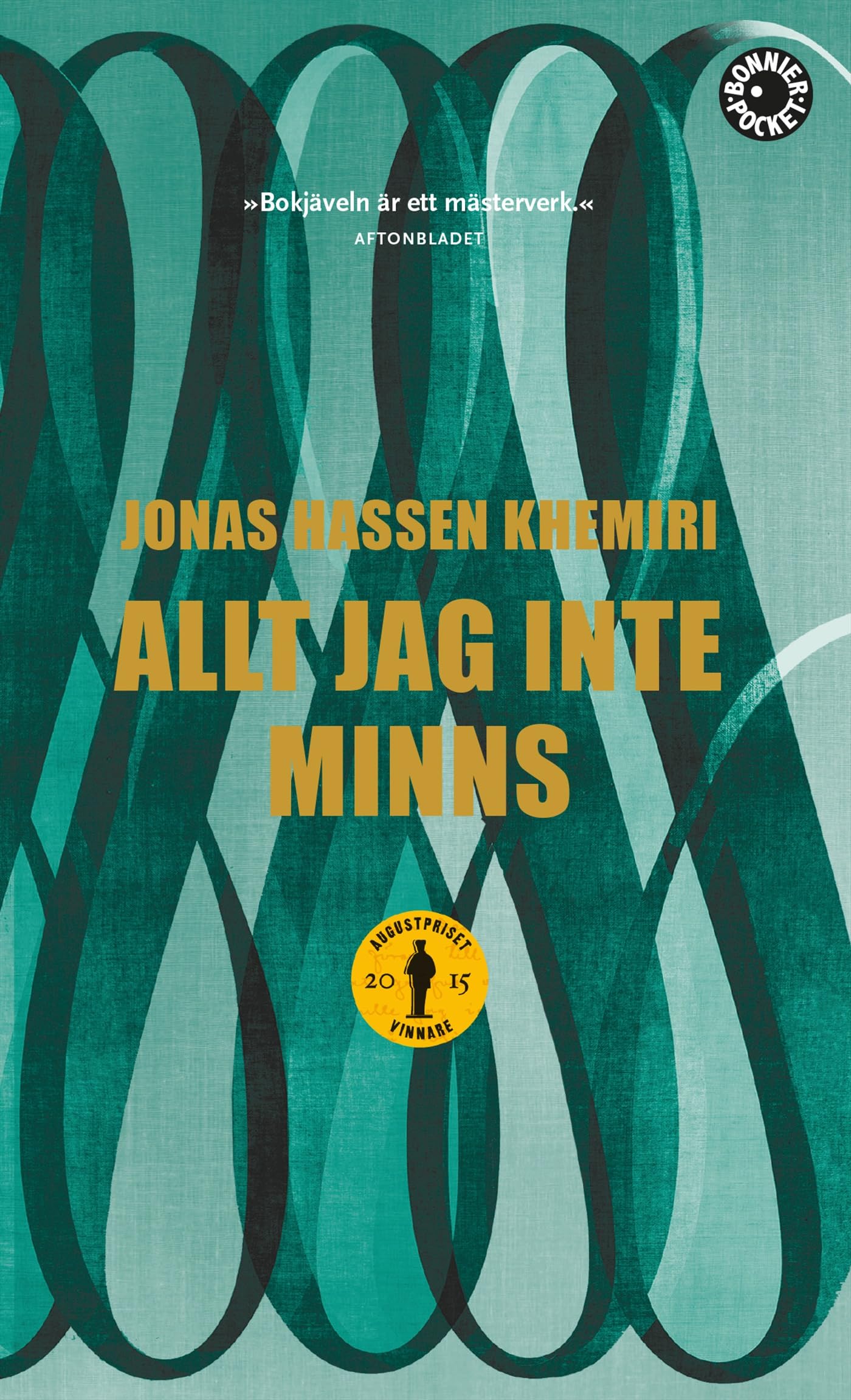 Allt jag inte minns book