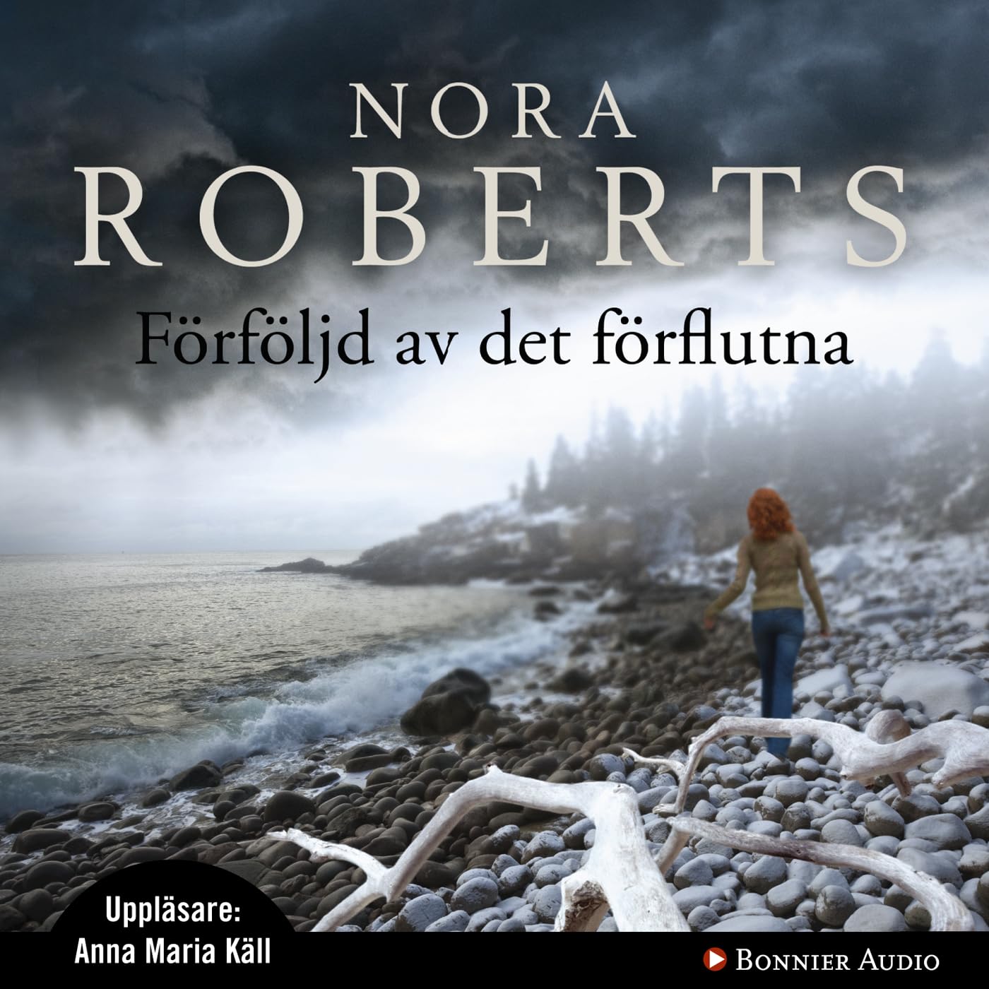 Förföljd av det förflutna Books