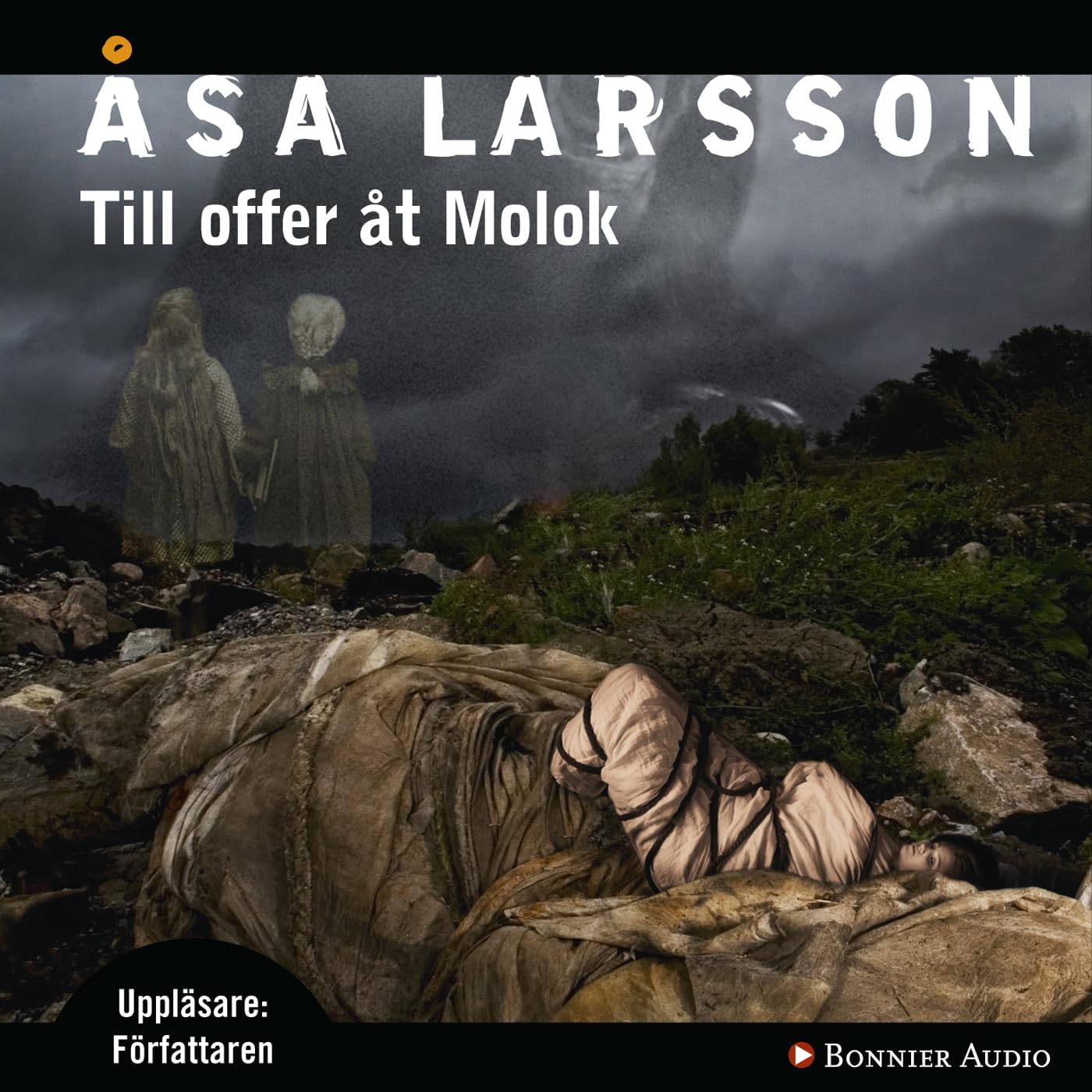 Till offer åt Molok (Rebecka Martinsson, Band 5) Books