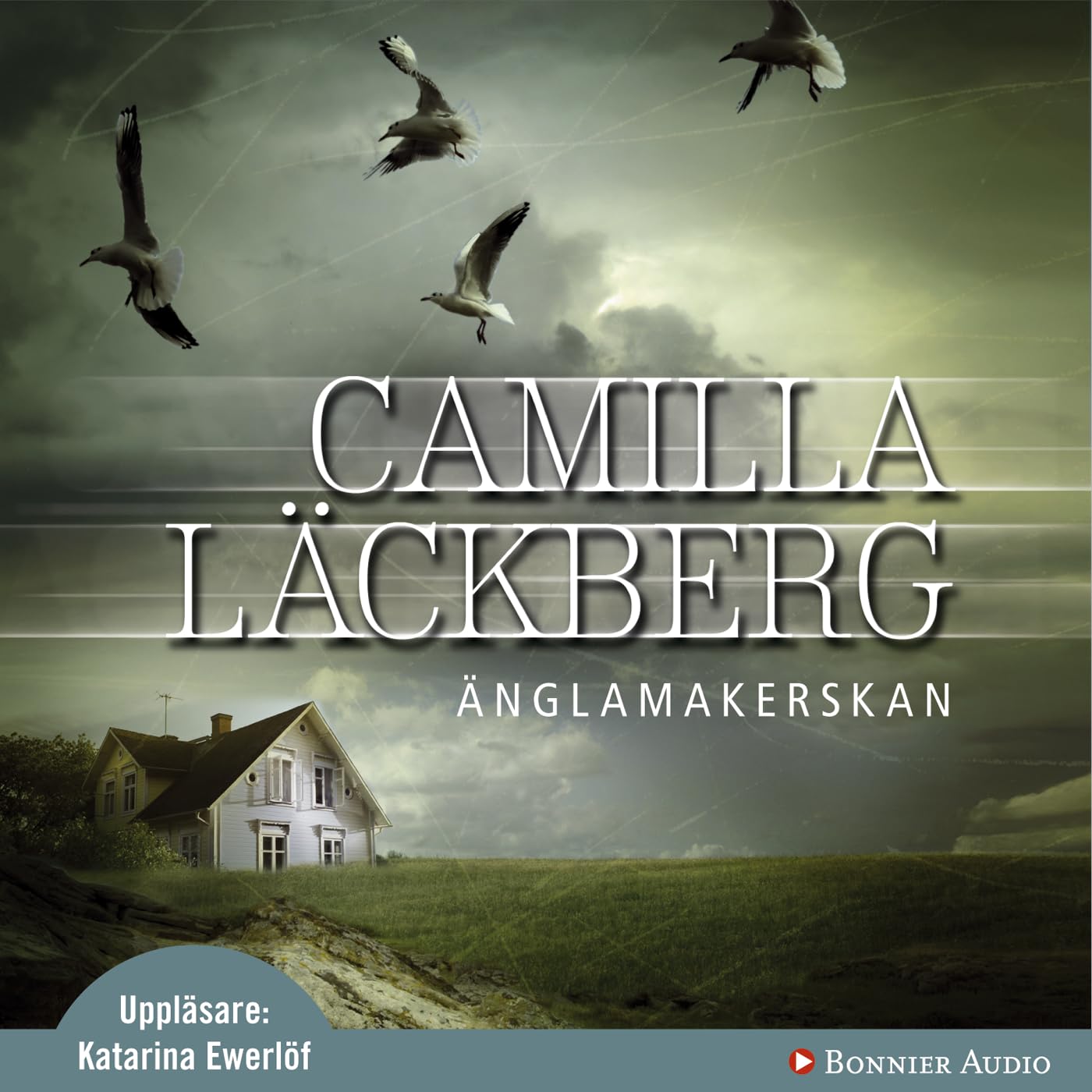 Änglamakerskan (Fjällbacka-serien, Band 8) Contemporary literature