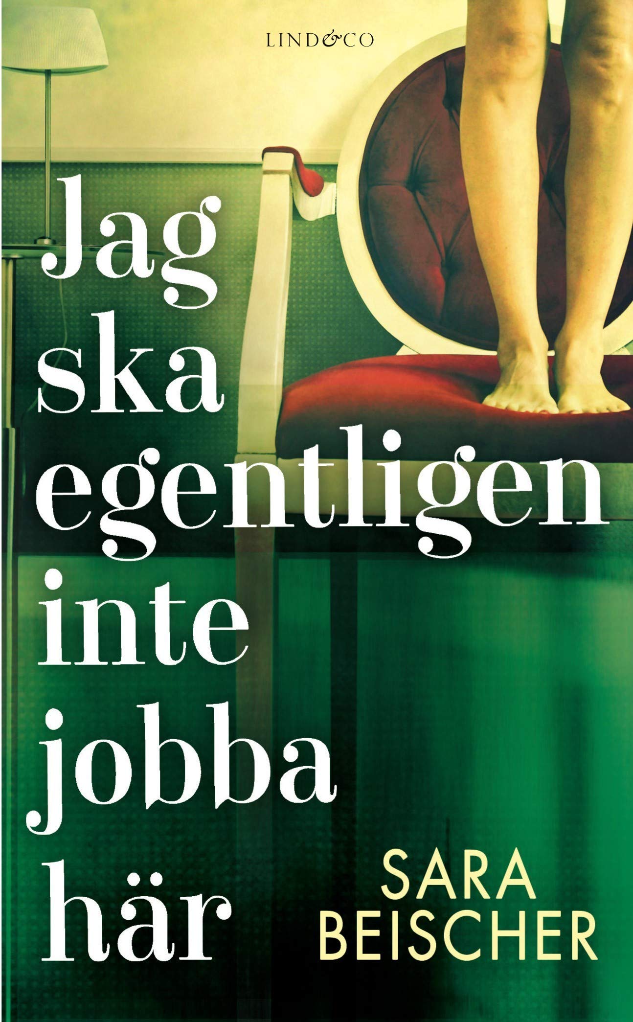 Jag ska egentligen inte jobba här Contemporary literature