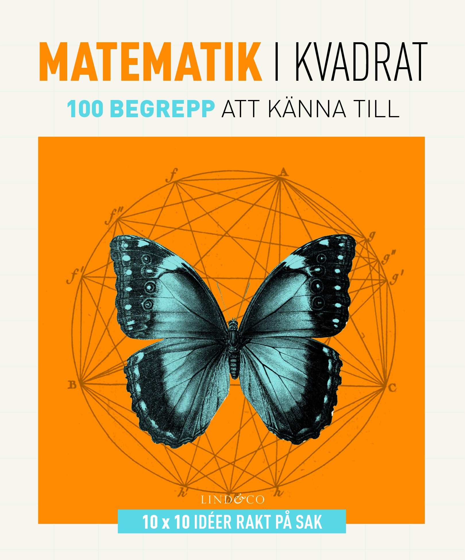 Matematik i kvadrat : 100 begrepp att känna till book
