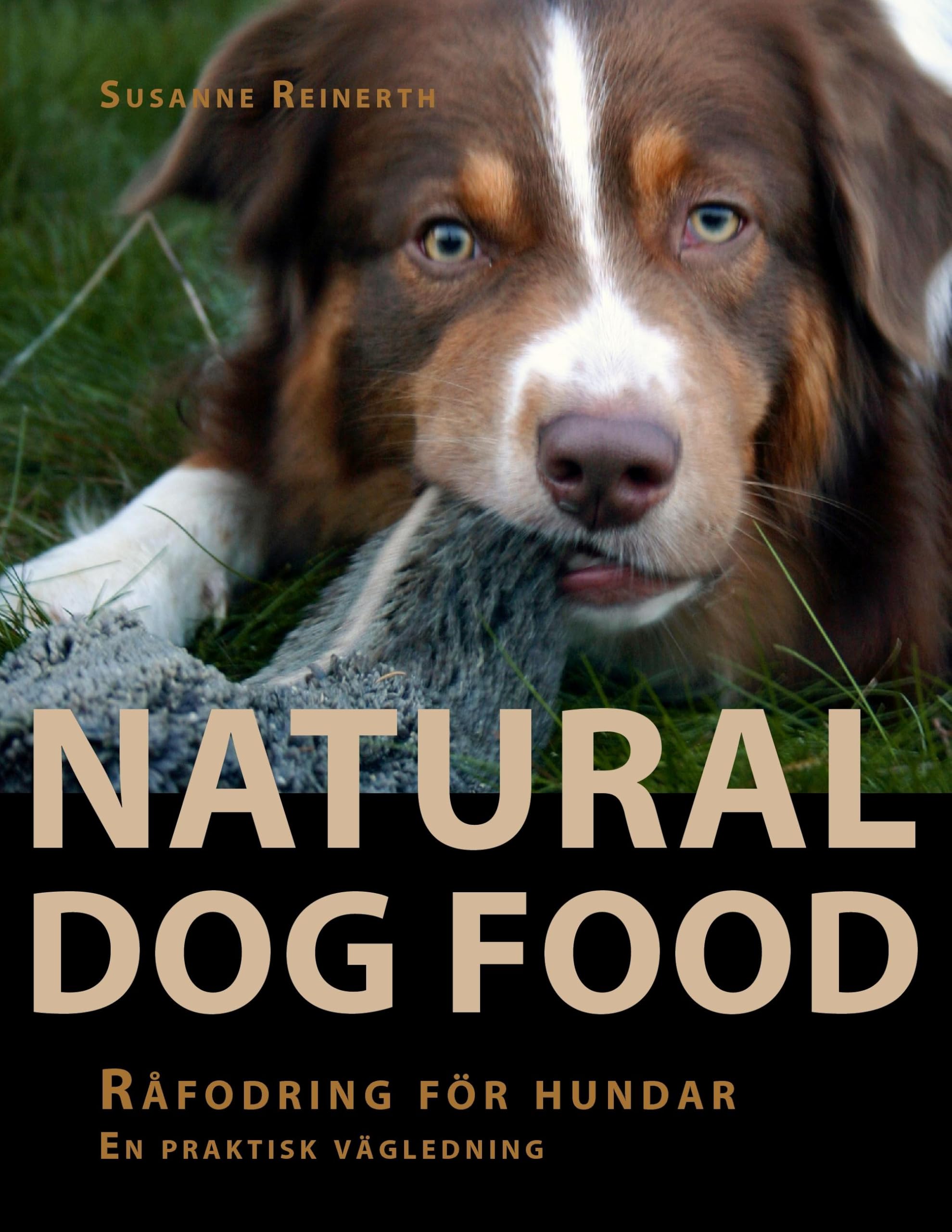 Natural Dog Food Pets