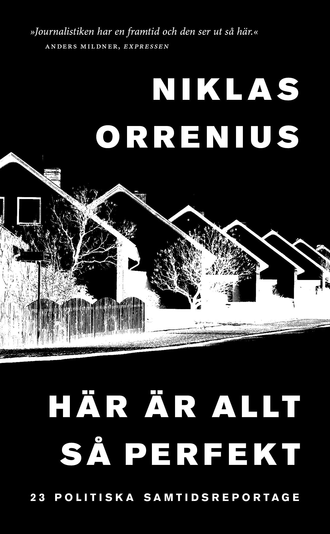 Här är allt så perfekt : 23 politiska samtidsreportage Books