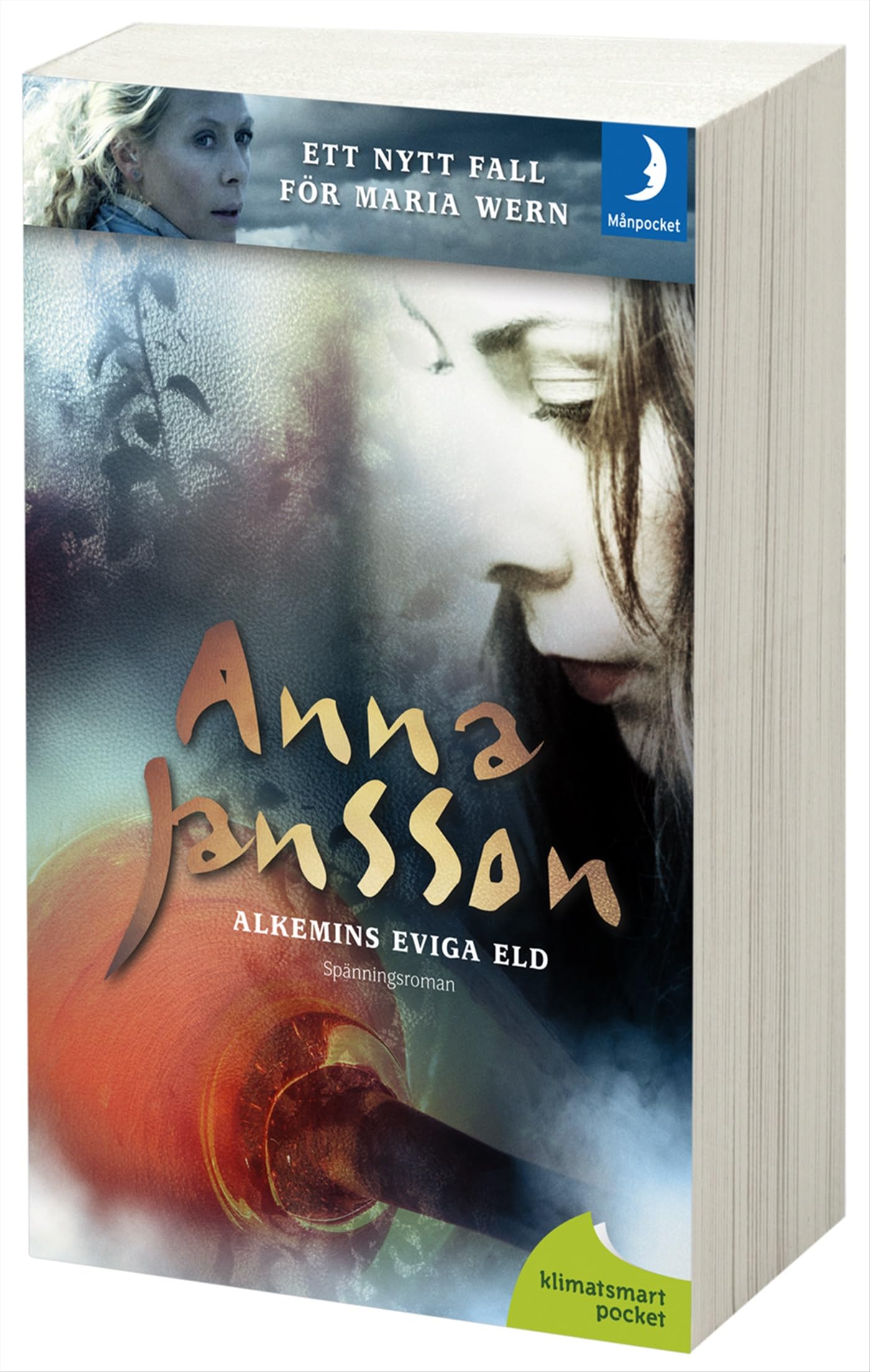Alkemins eviga eld (Maria Wern, Band 12) Contemporary literature