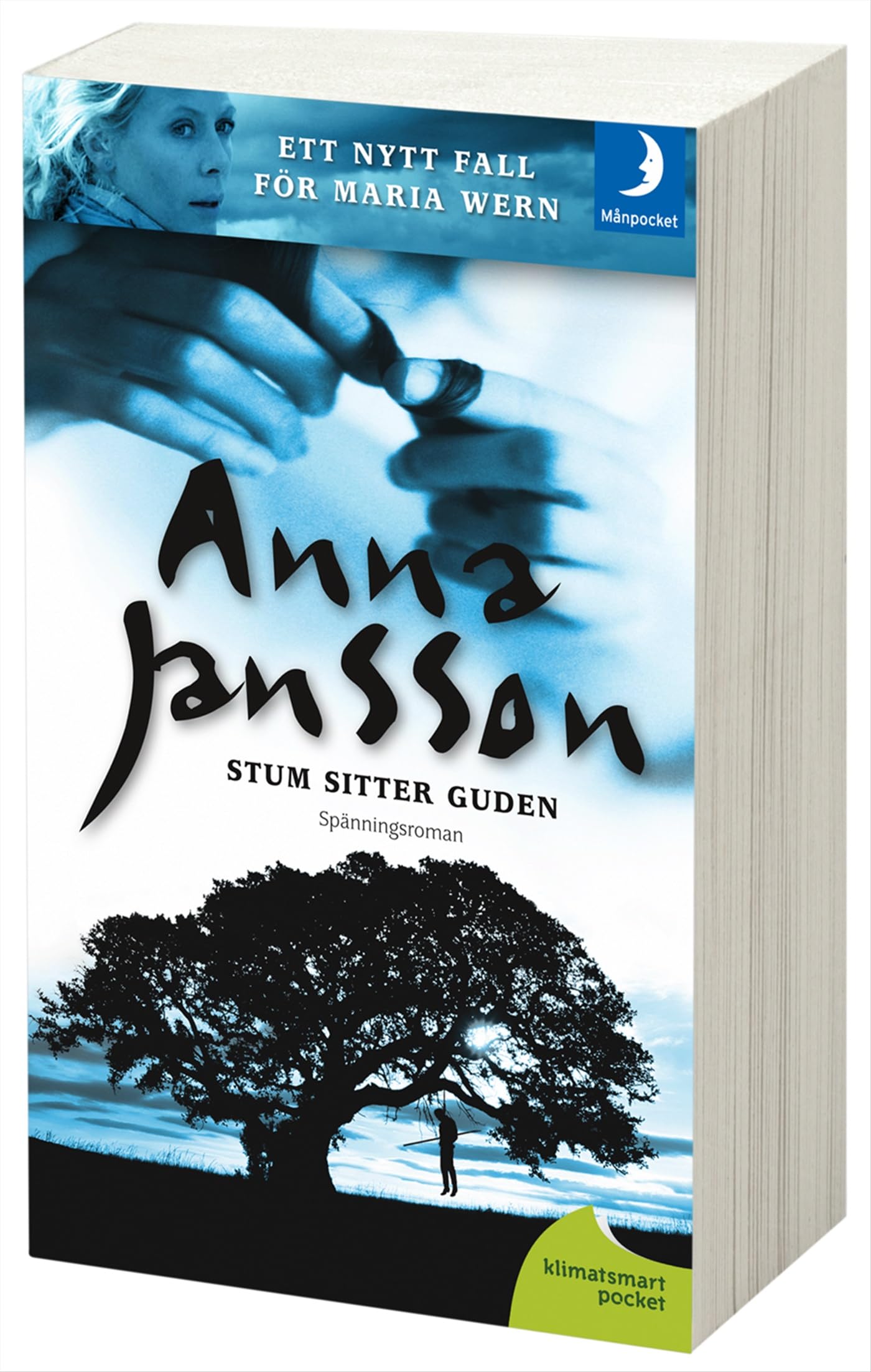Stum sitter guden (Maria Wern, Band 1) Contemporary literature