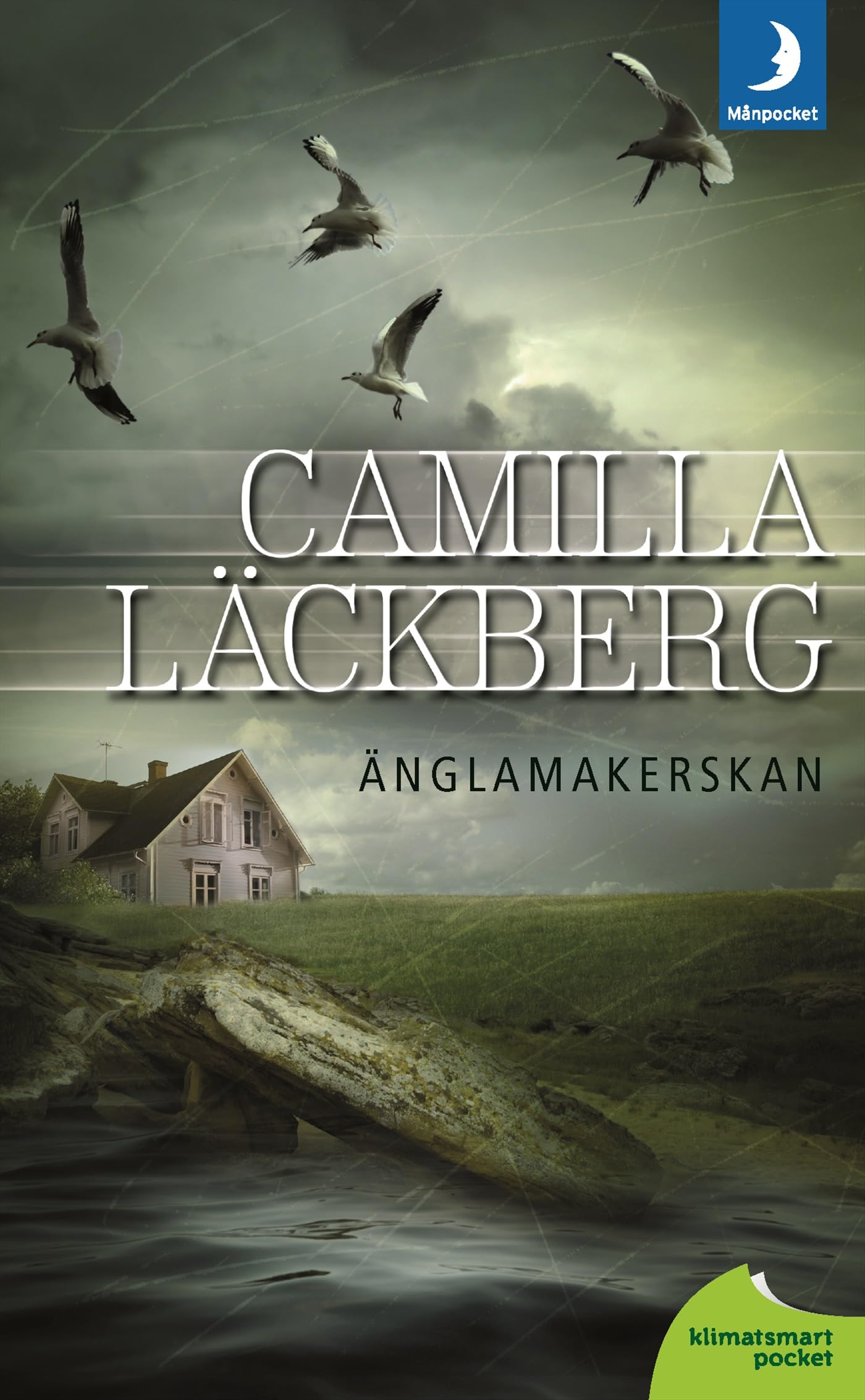 (8) (Fjällbacka-serien) book
