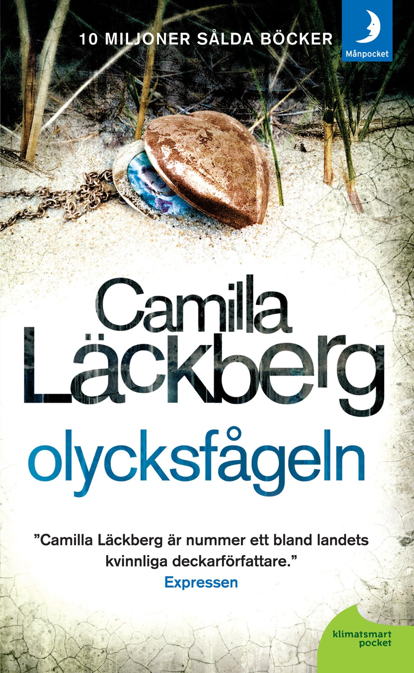 Olycksfågeln (Fjällbacka-serien, Band 4) Contemporary literature