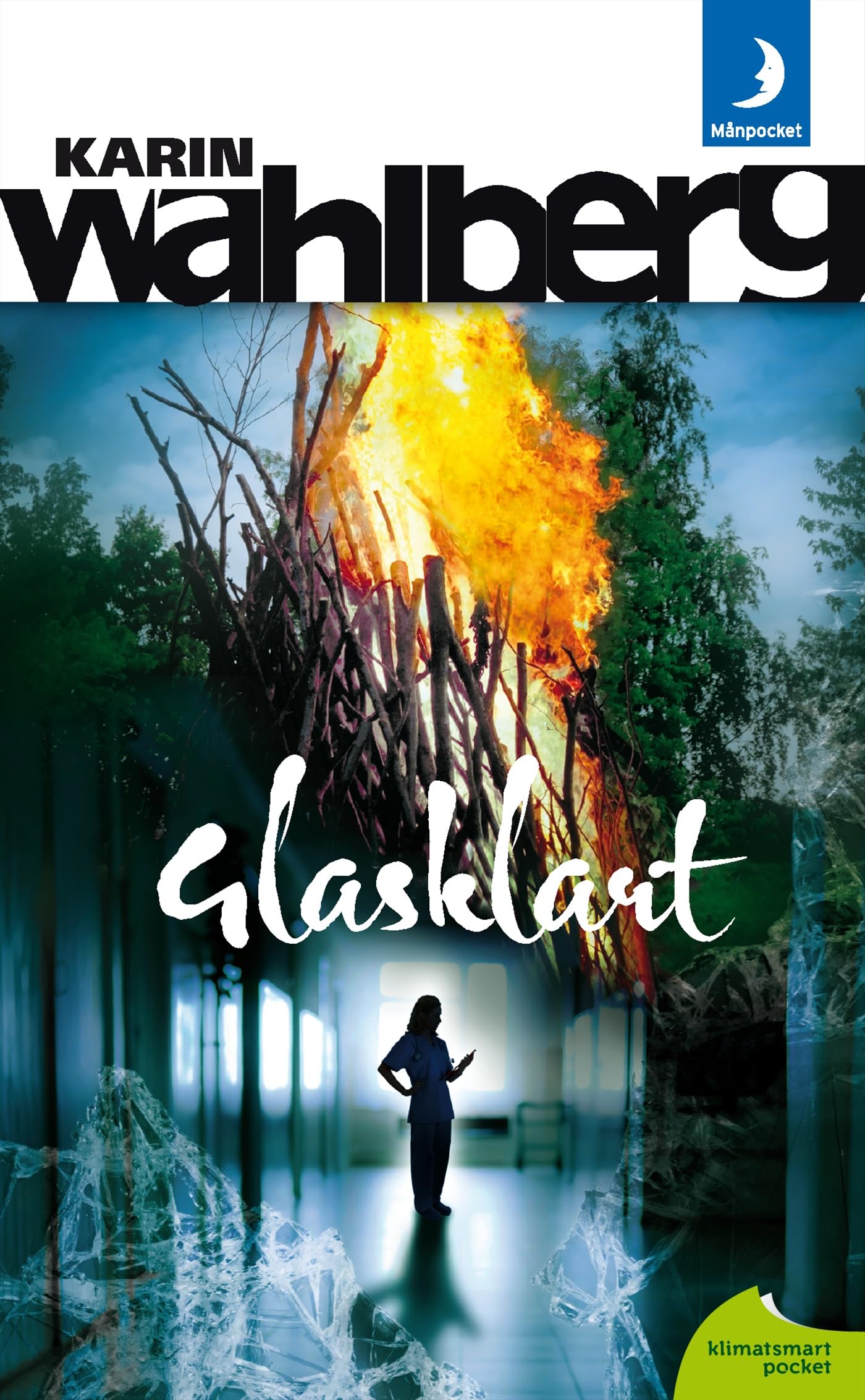 Glasklart (Claes Claesson, Band 8) Contemporary literature