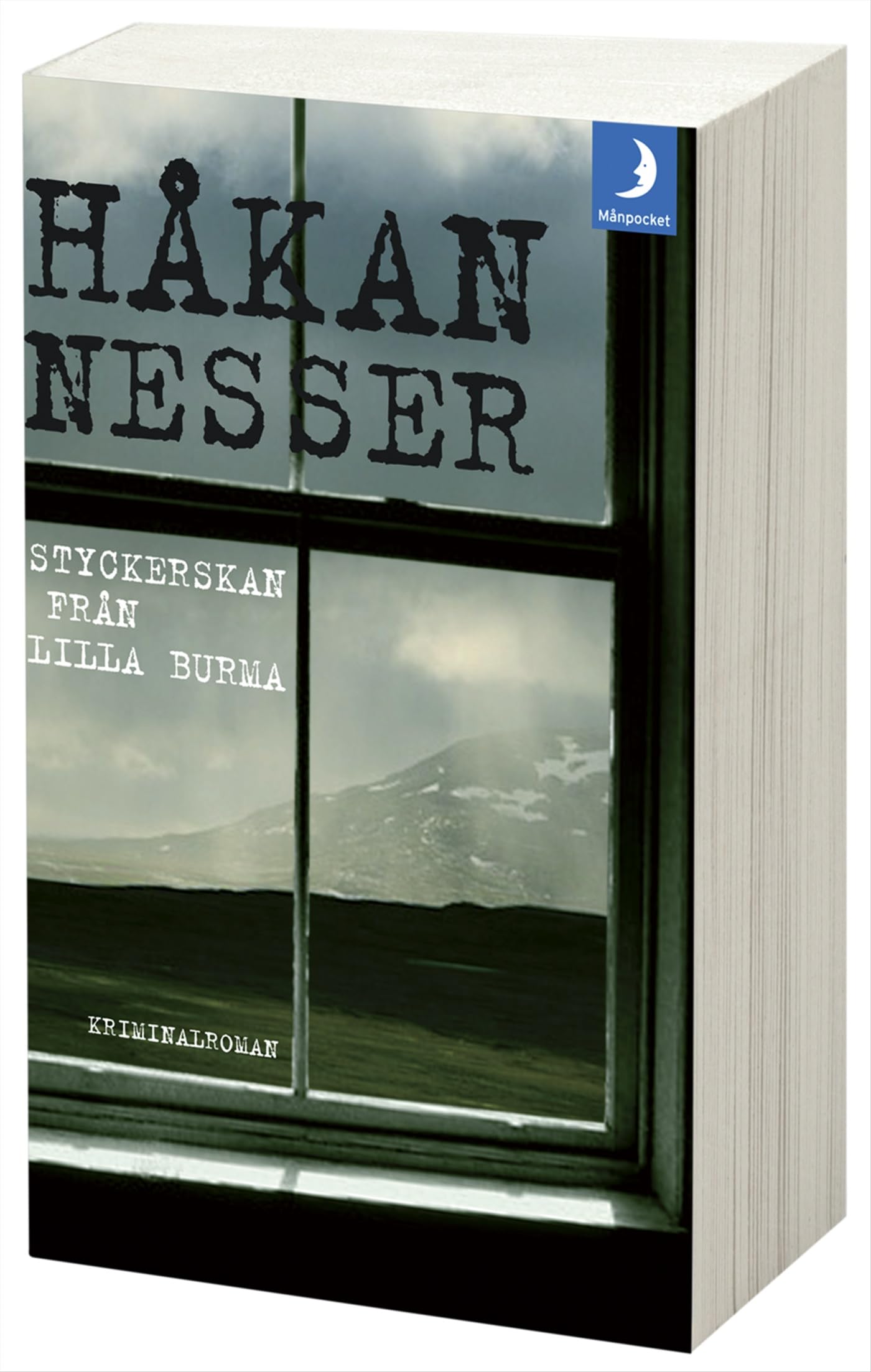 Styckerskan från Lilla Burma (Barbarotti, Band 5) Contemporary literature