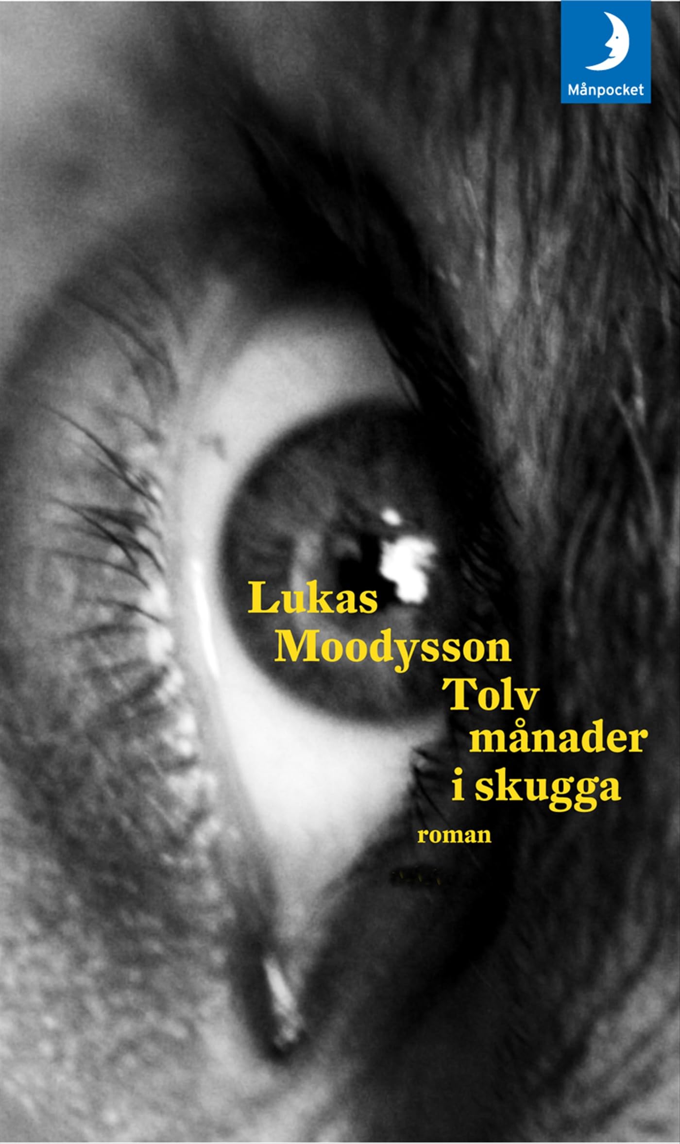 Tolv månader i skugga Books