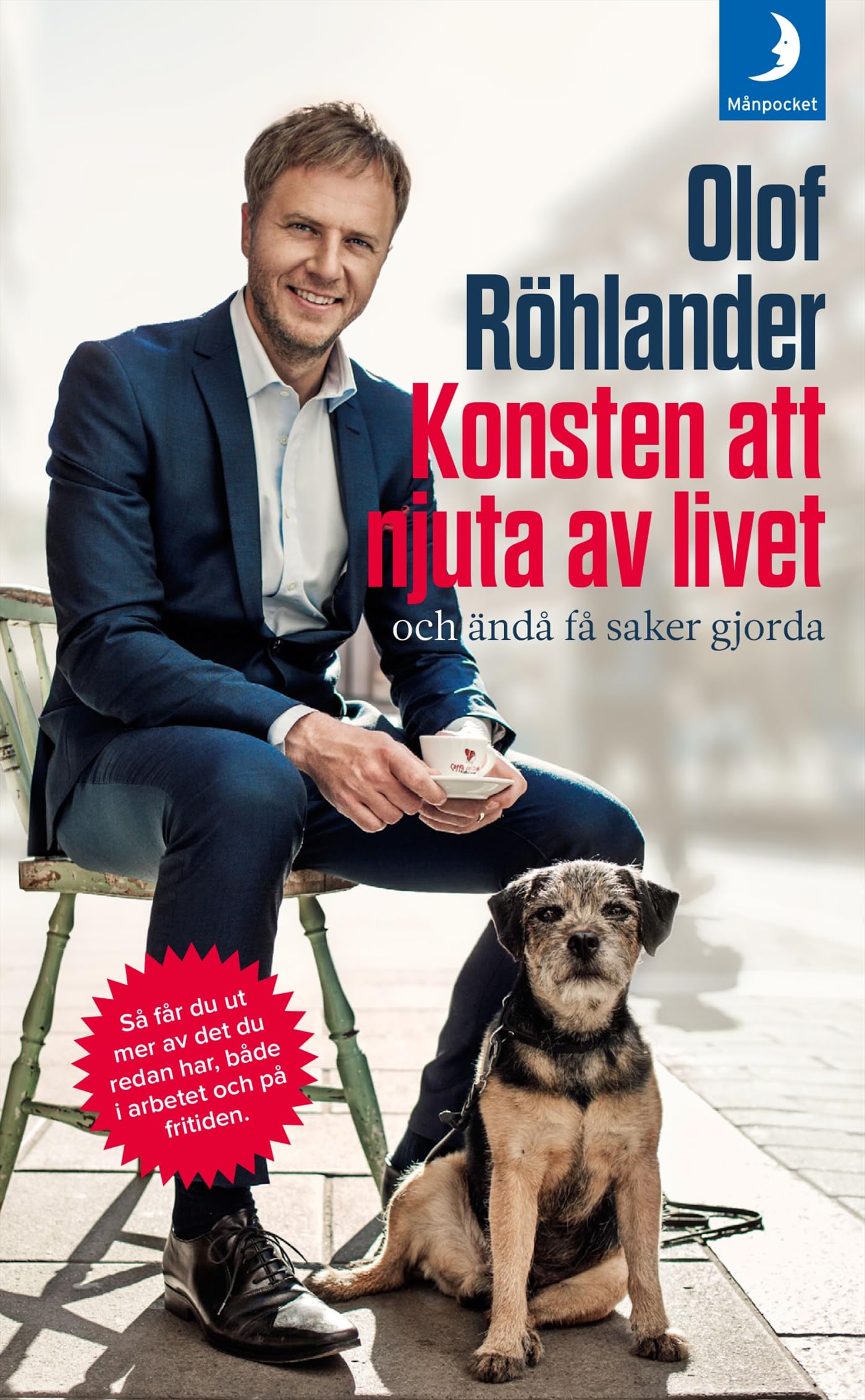 Konsten att njuta av livet : och ändå få saker gjorda book