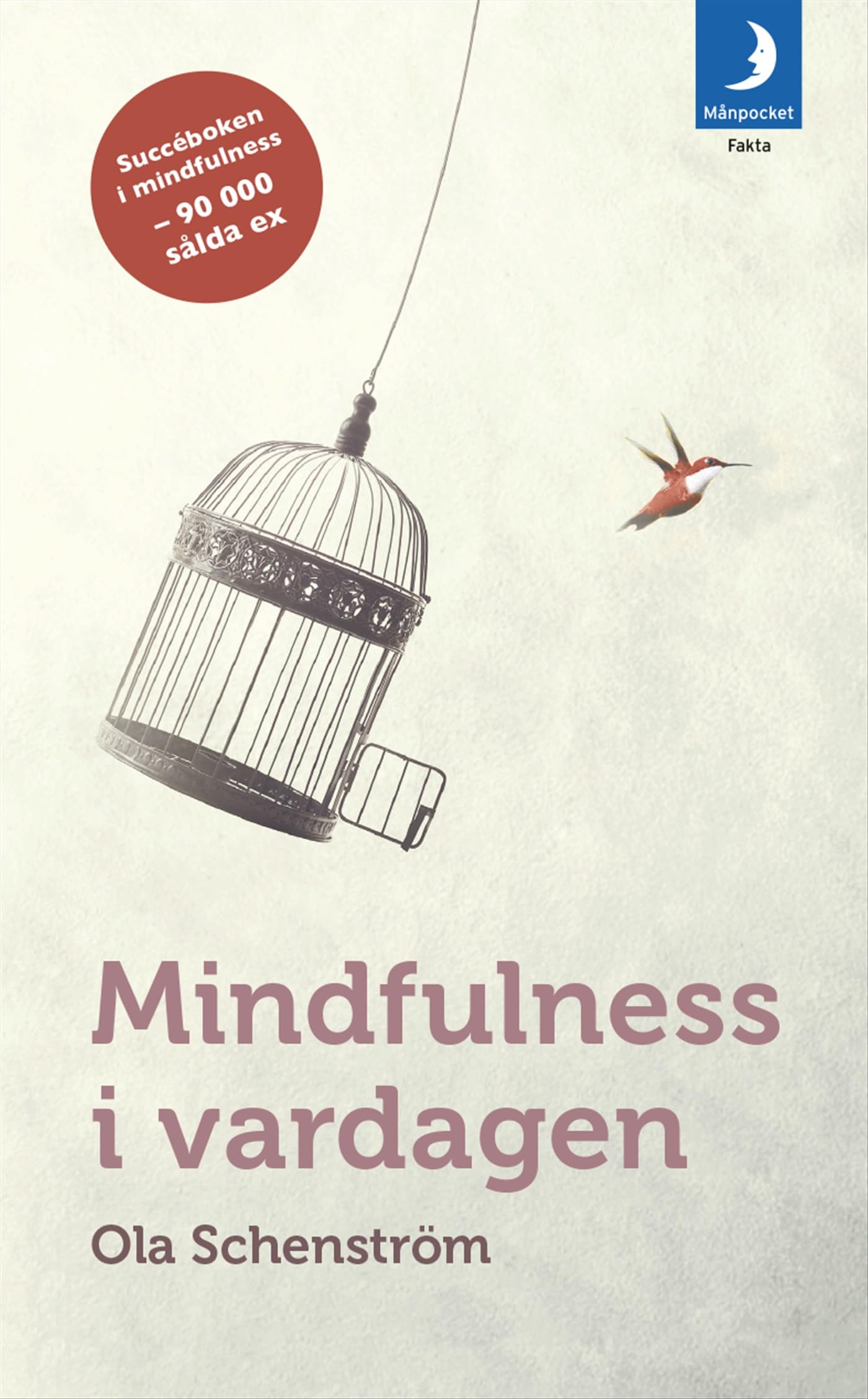 Mindfulness i vardagen : Vägar till medveten närvaro Books