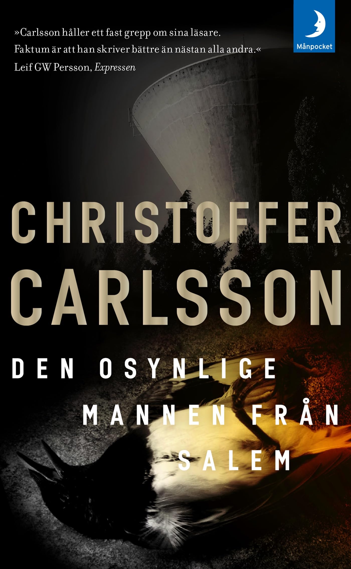 Den osynlige mannen från Salem Books