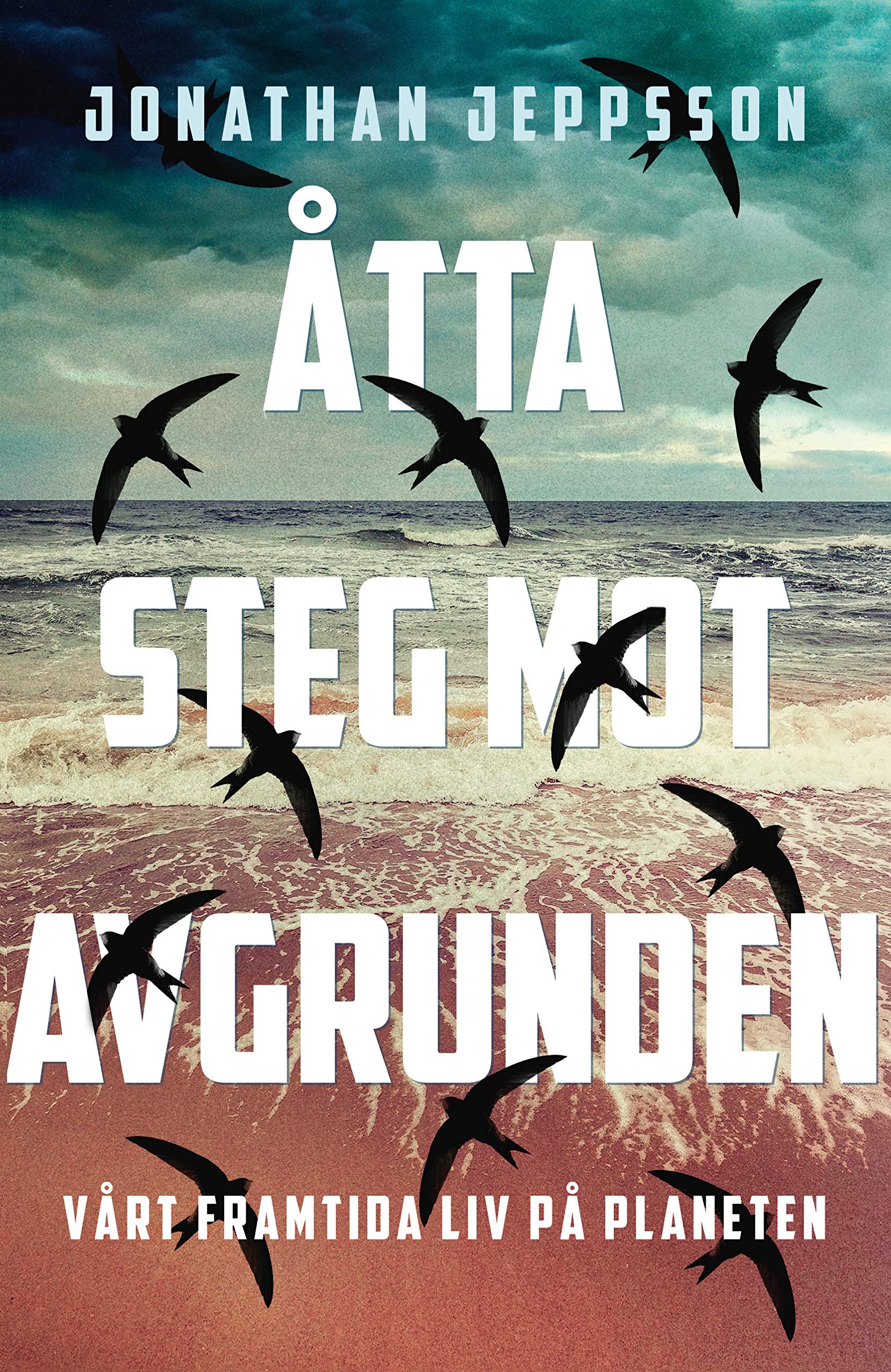 Åtta steg mot avgrunden : Vårt framtida liv på planeten Books