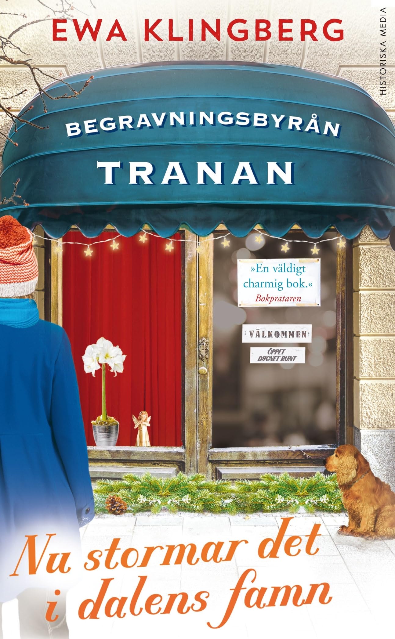 Nu stormar det i dalens famn Books