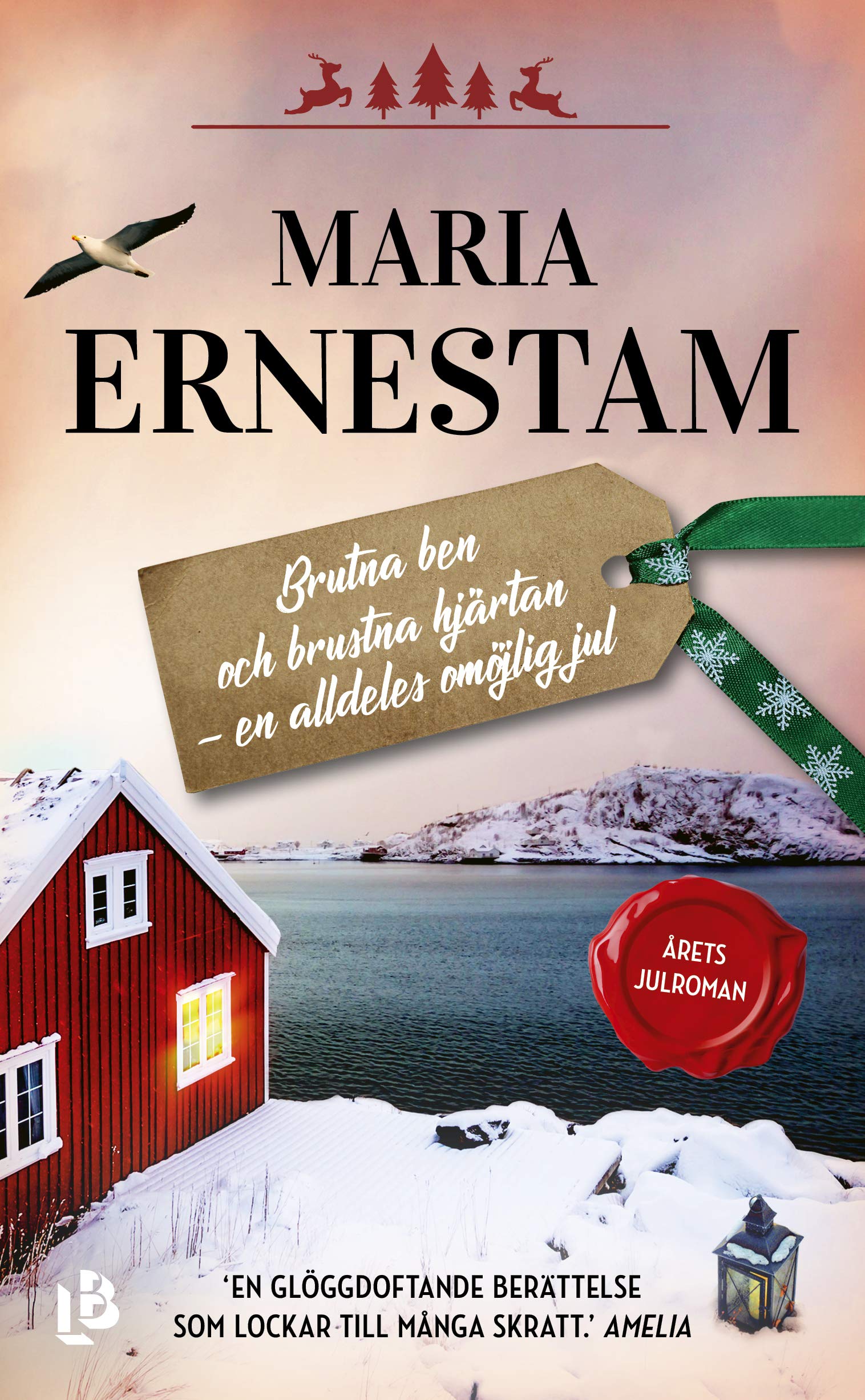 Brutna ben och brustna hjärtan - en alldeles omöjlig jul book