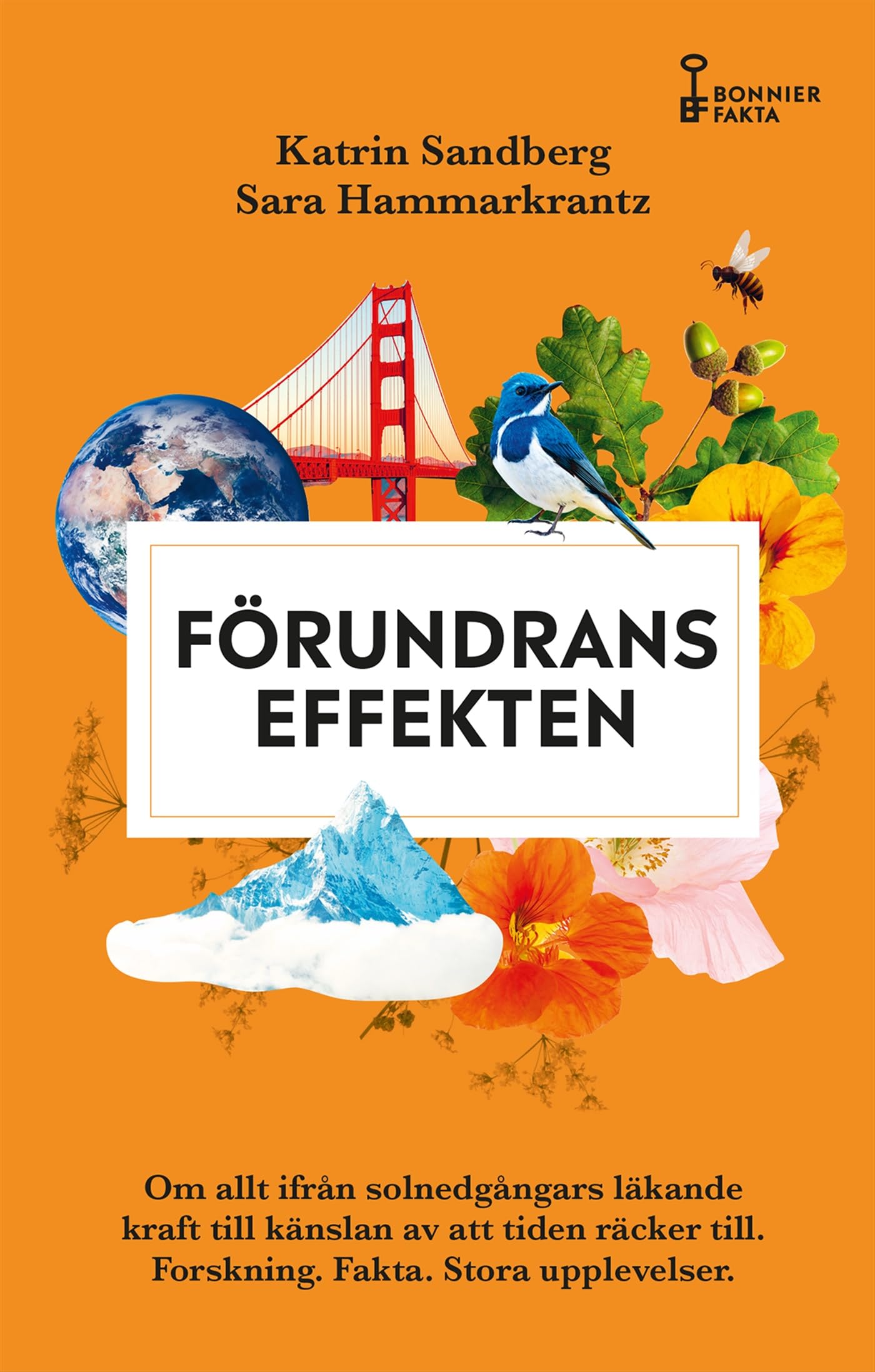 Förundranseffekten : om allt ifrån solnedgångars läkande kraft till känslan Books