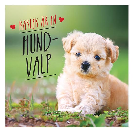 Kärlek är en hundvalp Books