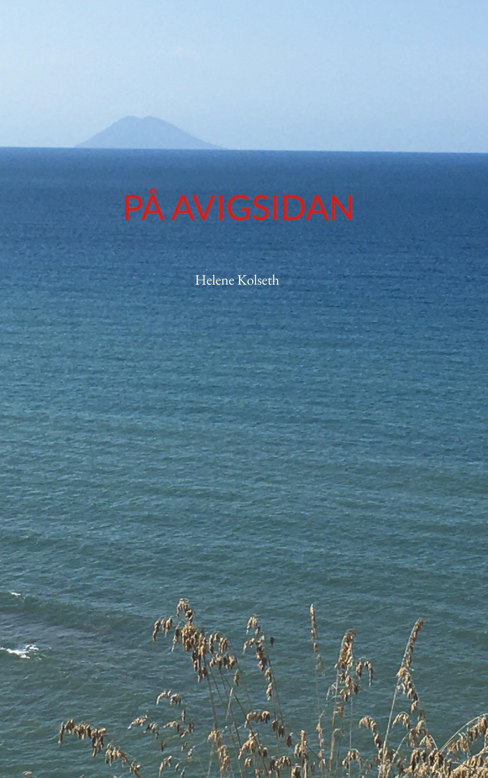 På avigsidan (Stickis-trilogin) Contemporary literature