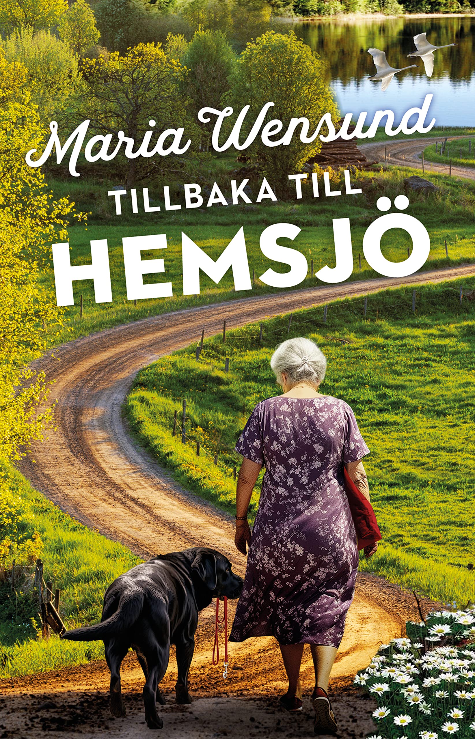 Tillbaka till Hemsjö book